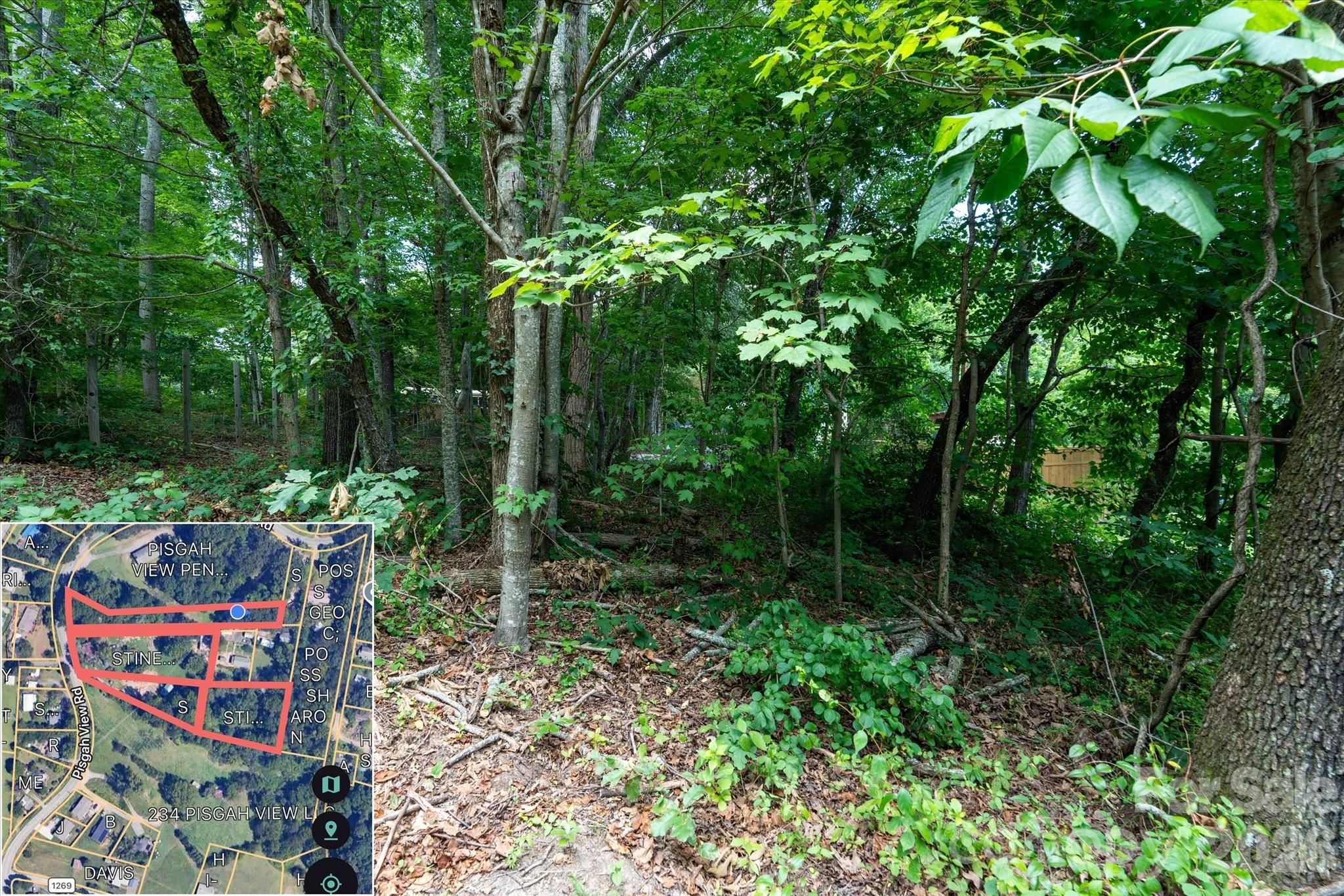 Acreage at 230 Pisgah View Road, Asheville, photo 10 of 20
