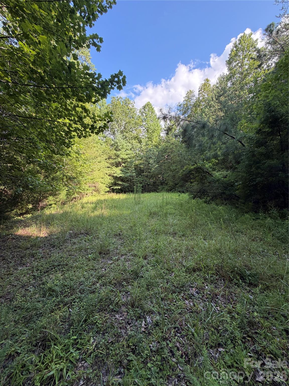 Lot at 0 Greenhill Farms Drive, Rutherfordton, photo 4 of 10