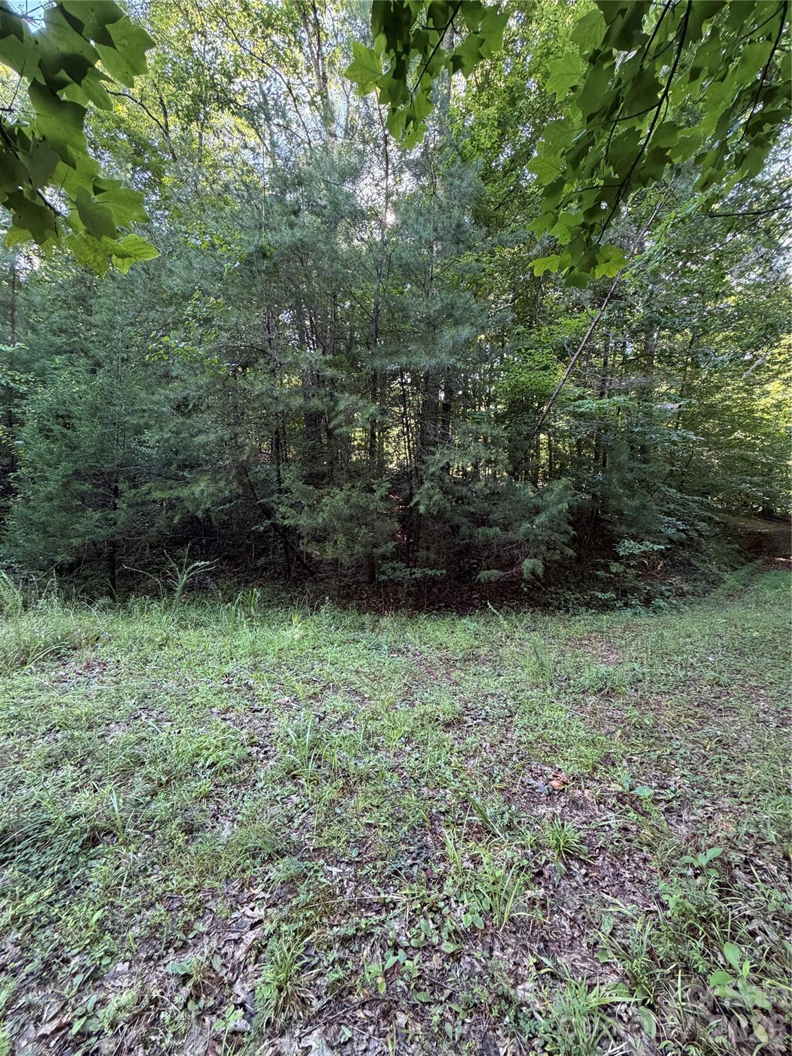 Lot at 0 Greenhill Farms Drive, Rutherfordton, photo 6 of 10