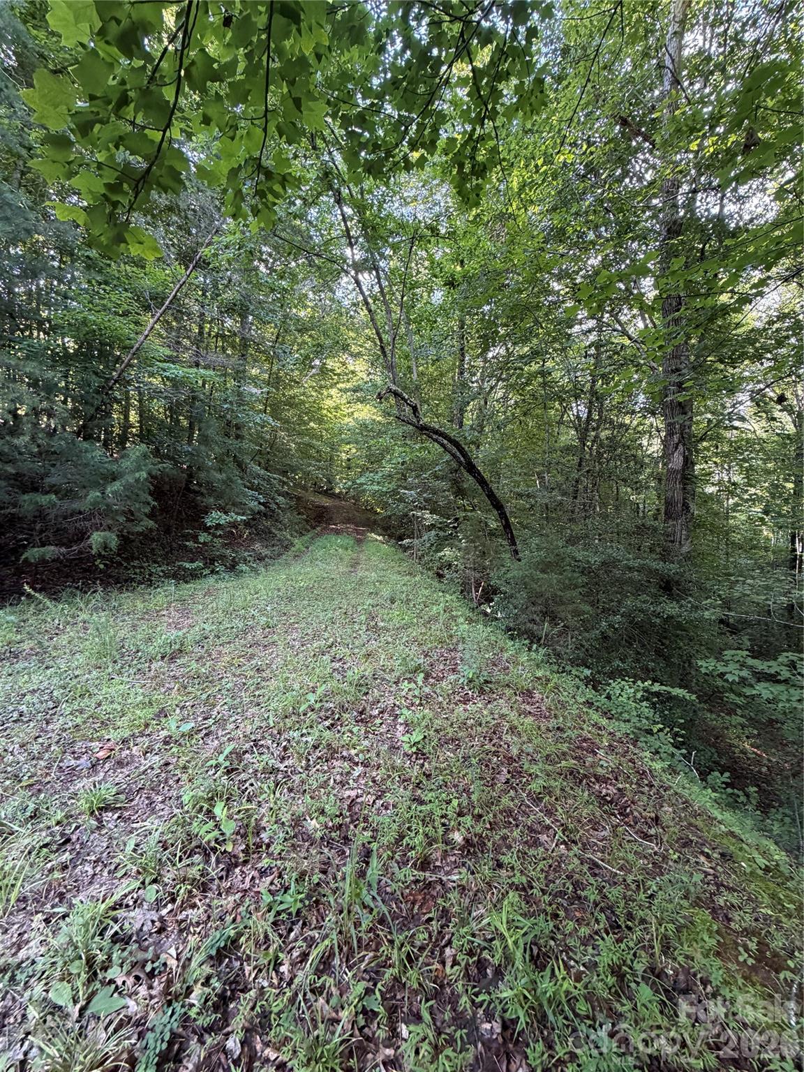 Lot at 0 Greenhill Farms Drive, Rutherfordton, photo 7 of 10