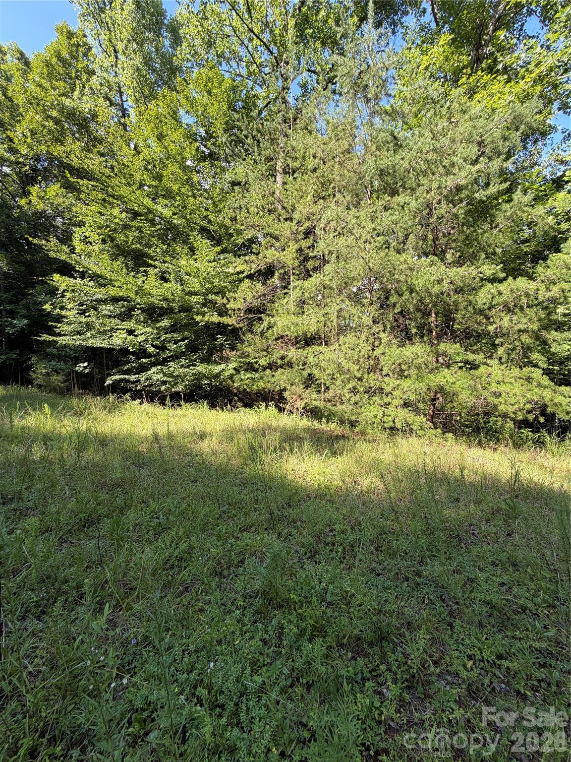 Lot at 0 Greenhill Farms Drive, Rutherfordton, photo 10 of 10