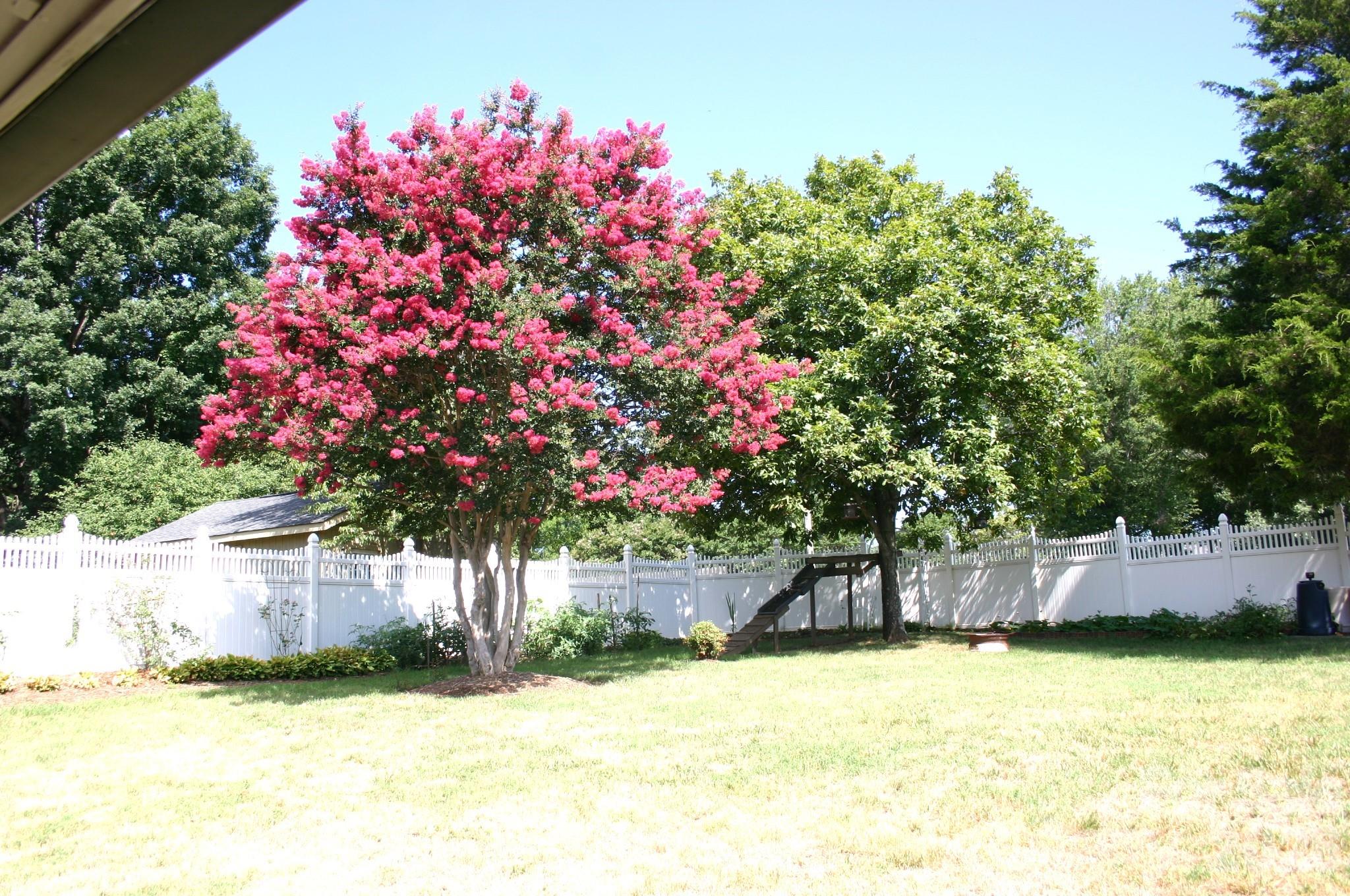 Backyard - 1647 Woodridge Circle, Hickory
