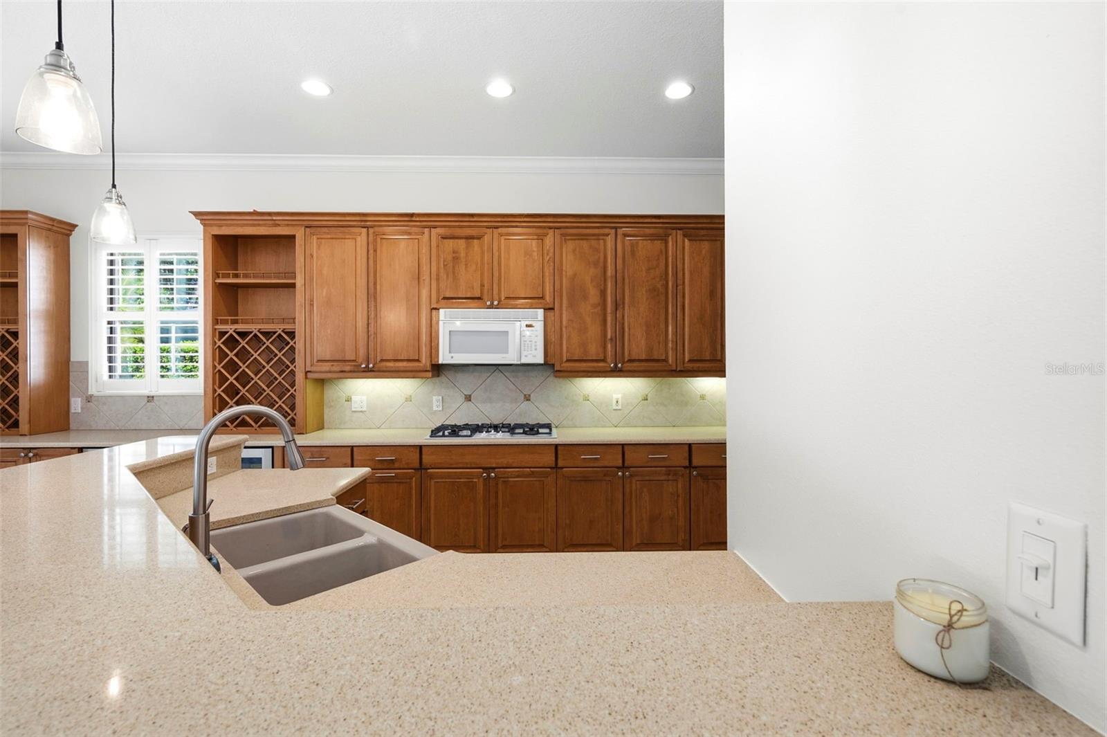 Single Family Residence at 13860 SIENA LOOP, BRADENTON, photo 33 of 91