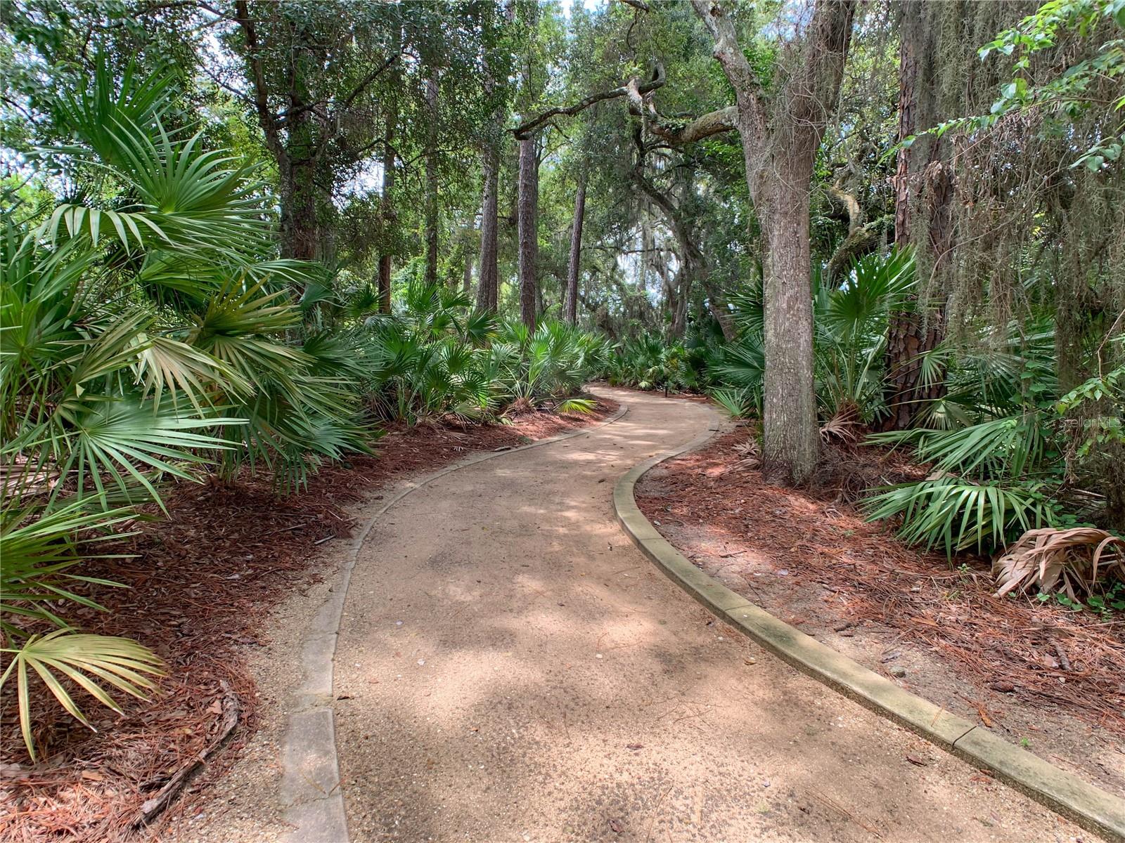Single Family Residence at 41 RIVERVIEW BND N, PALM COAST, photo 86 of 92