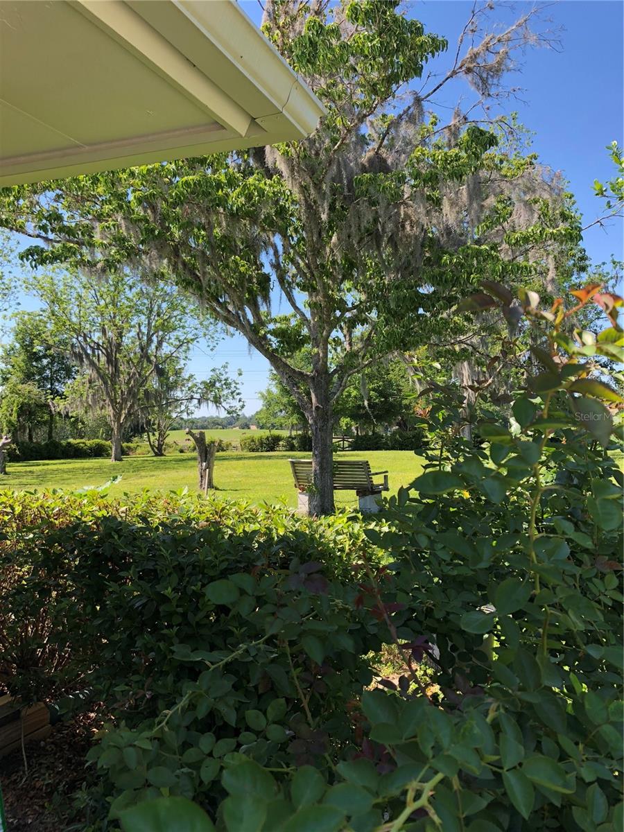 Single Family Residence at 2230 SW 87TH PL, OCALA, photo 45 of 51