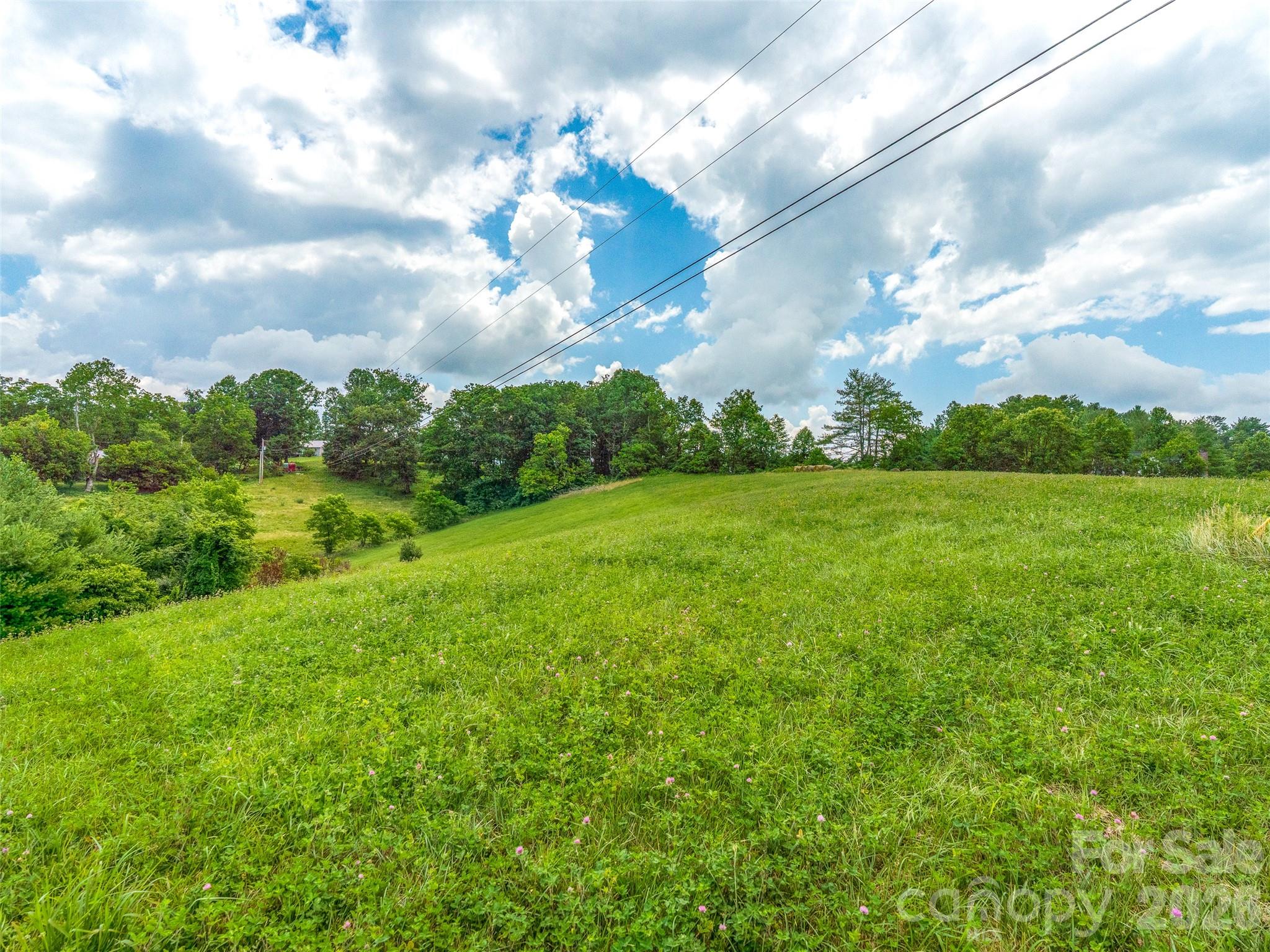 Open Use (OU) Zoning = Endless Possibilities - 99999 Sprouse Town Road, Weaverville