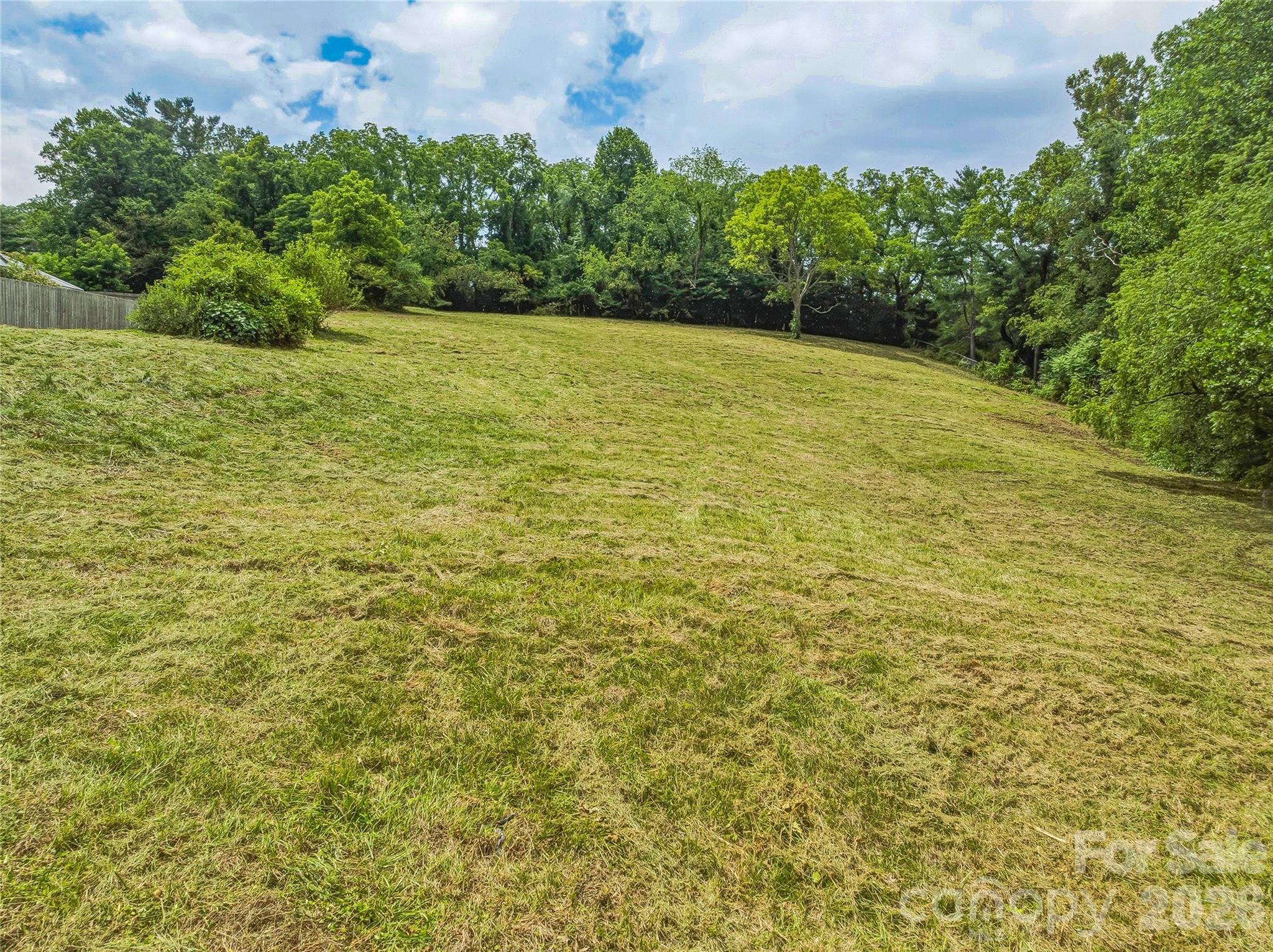 Unimproved Commercial at 99999 Daniel Road, Asheville, photo 12 of 22