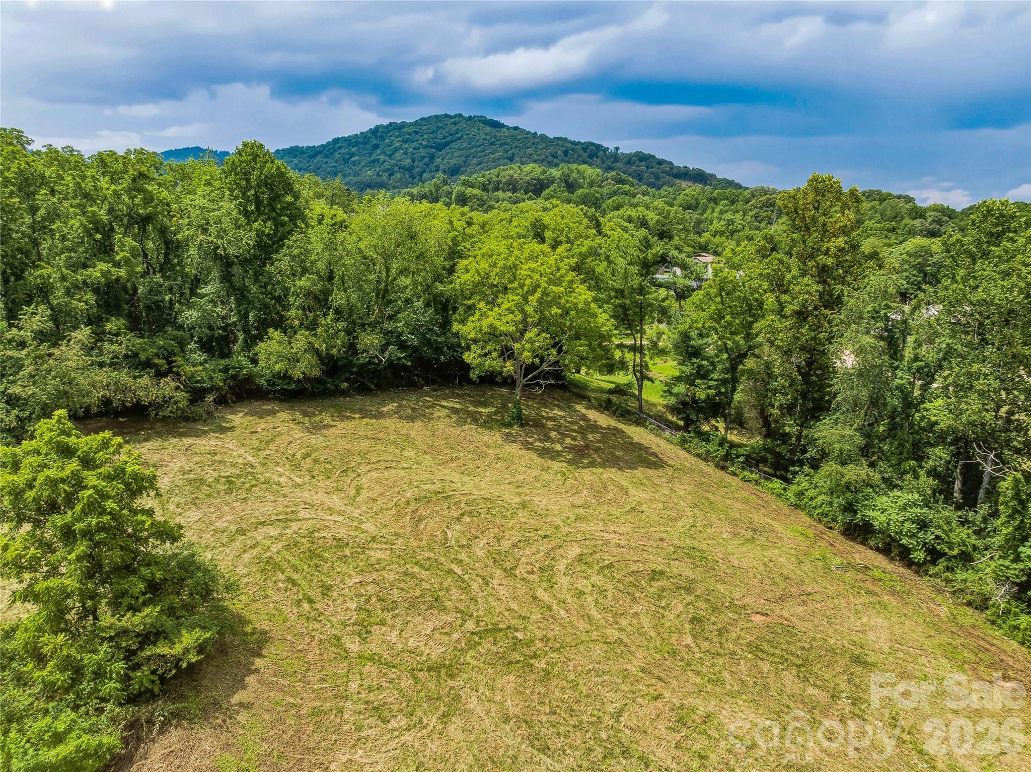 Unimproved Commercial at 99999 Daniel Road, Asheville, photo 13 of 22