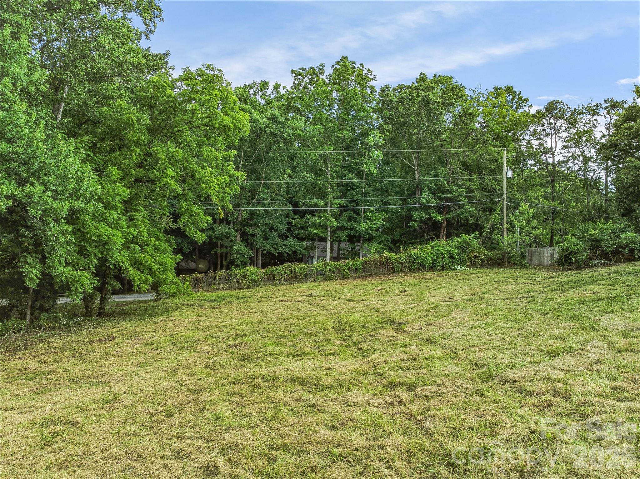 Unimproved Commercial at 99999 Daniel Road, Asheville, photo 16 of 22