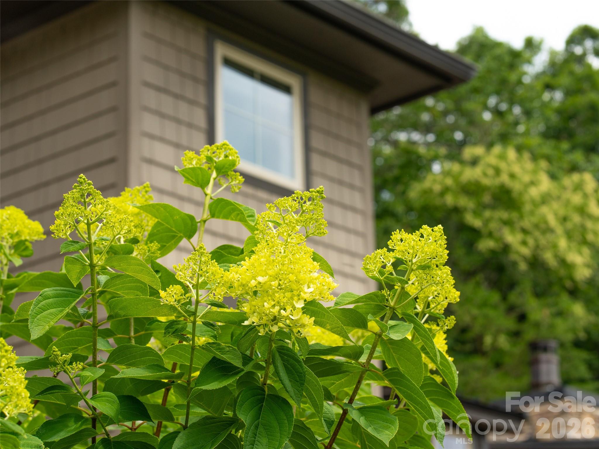 Single Family Residence at 101 Glen Trillium Drive, Fletcher, photo 39 of 39