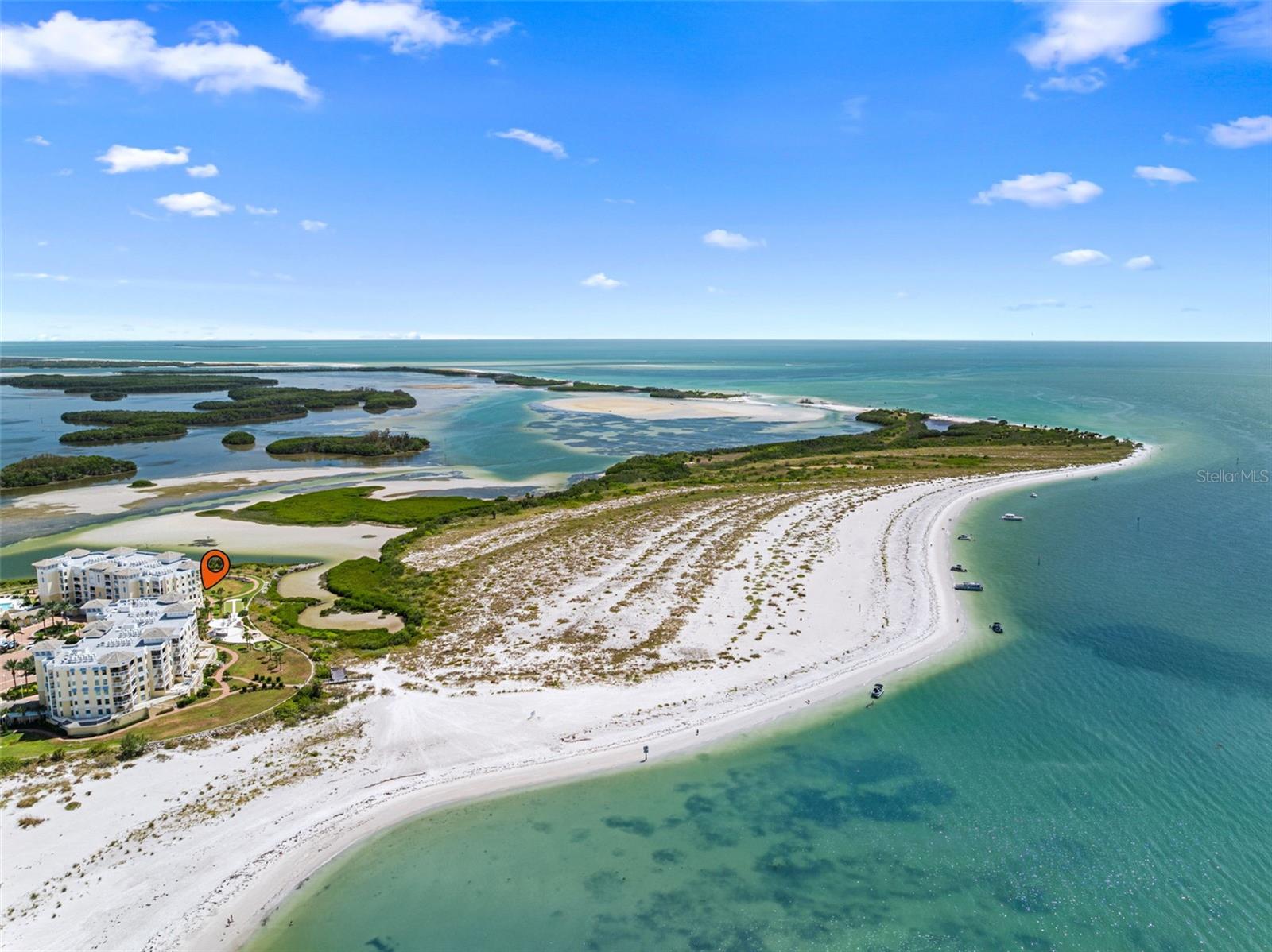 Private beach adjacent to the 1800 acre Shell Key Preserve - 795 COLLANY RD #204, TIERRA VERDE