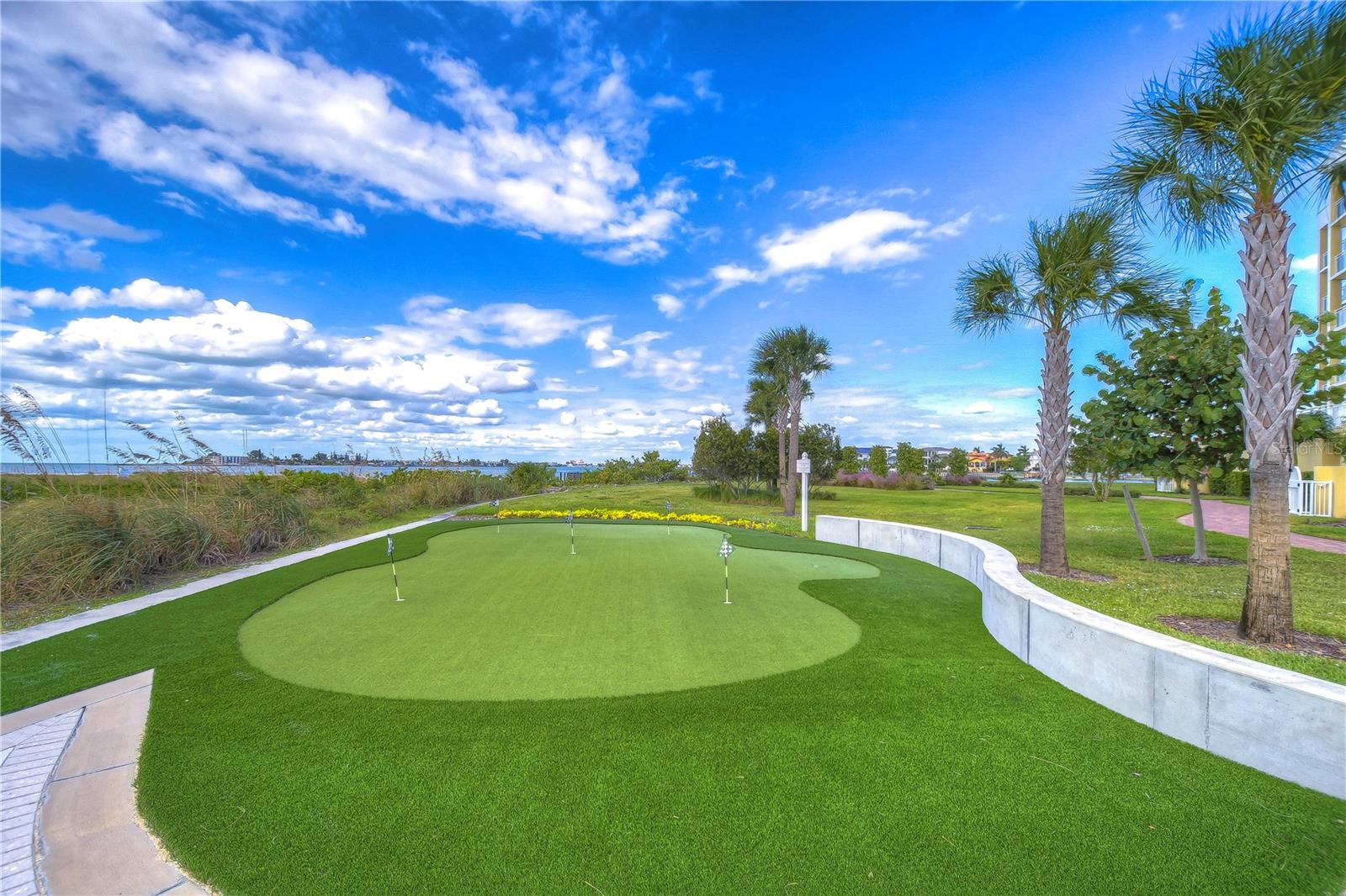Putting and chipping green - 795 COLLANY RD #204, TIERRA VERDE