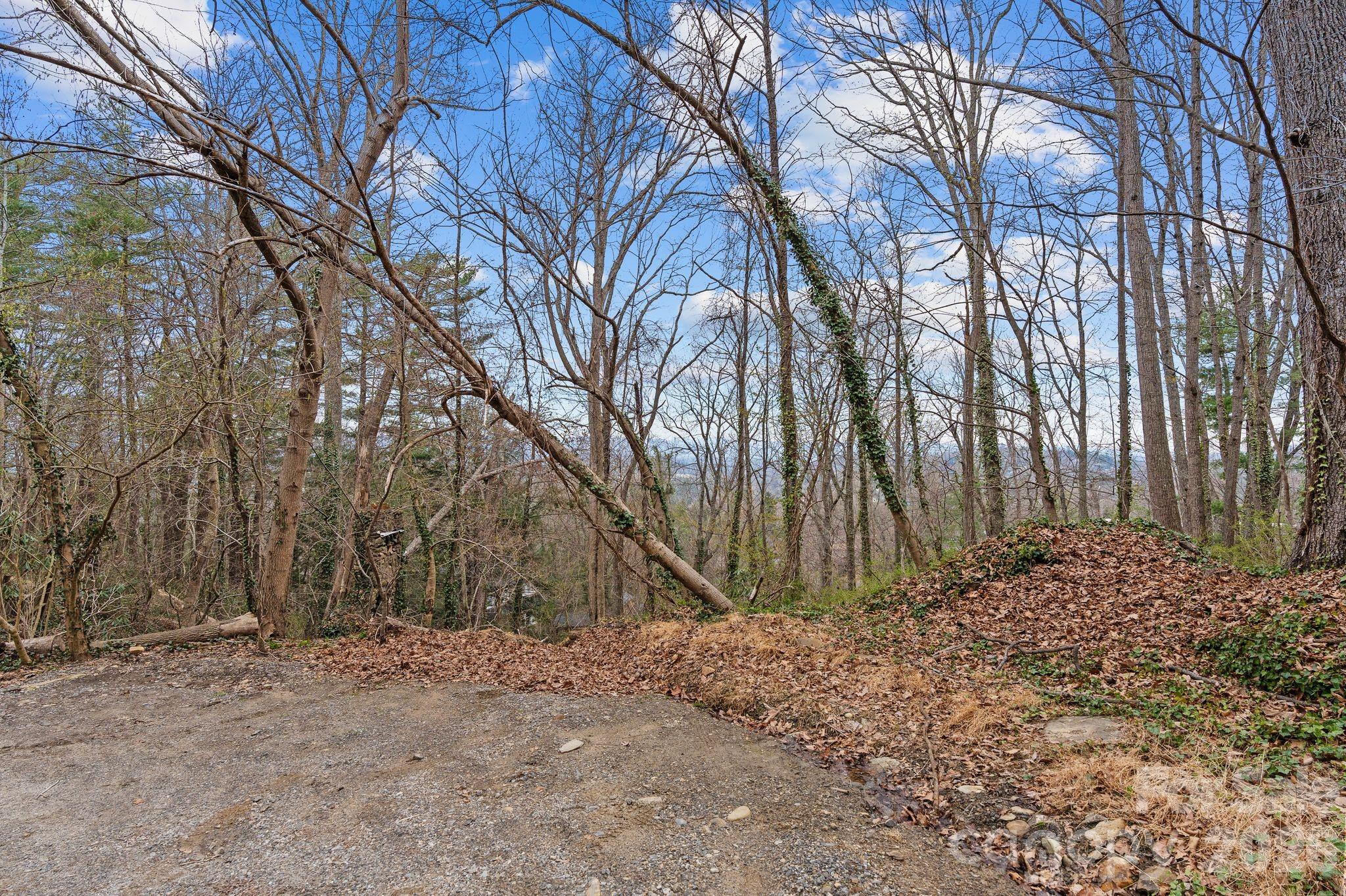 Lot at 99999 Sunset Drive, Asheville, photo 5 of 8