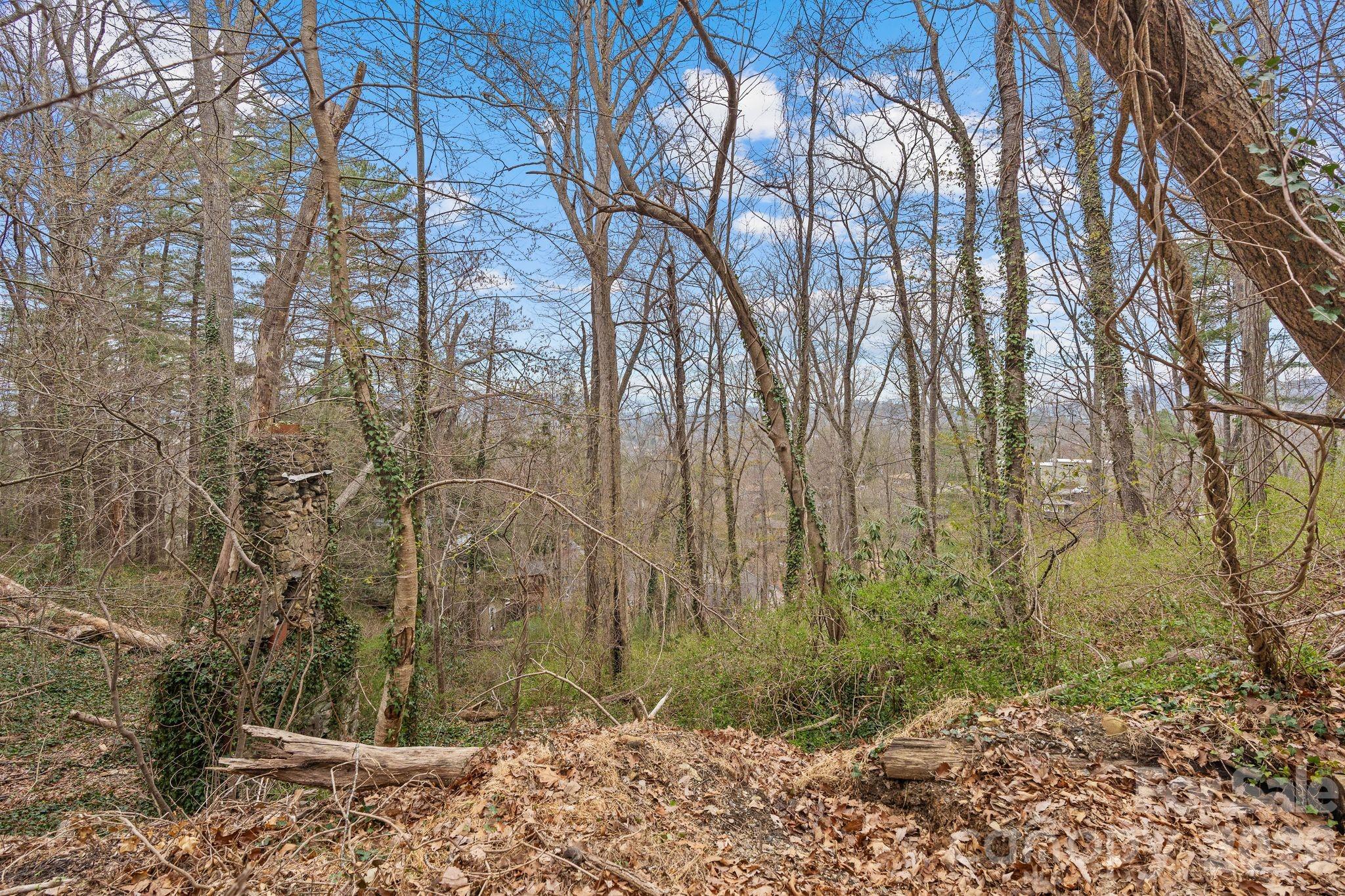 Lot at 99999 Sunset Drive, Asheville, photo 6 of 8