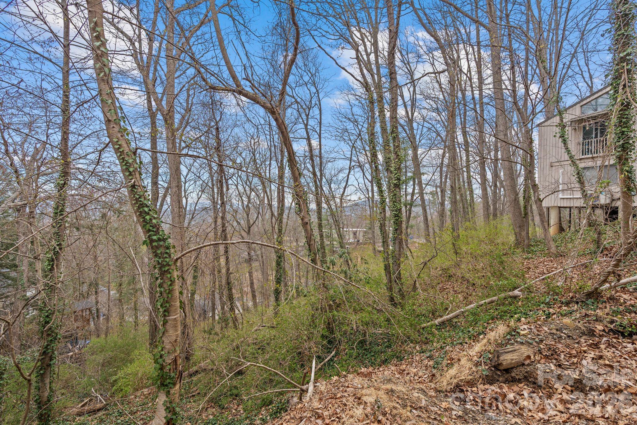 Lot at 99999 Sunset Drive, Asheville, photo 7 of 8