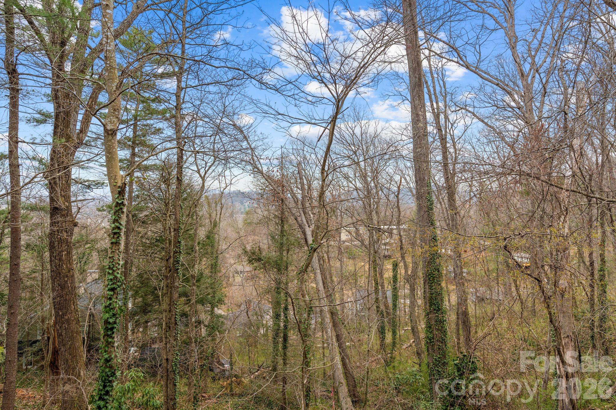 Lot at 99999 Sunset Drive, Asheville, photo 8 of 8