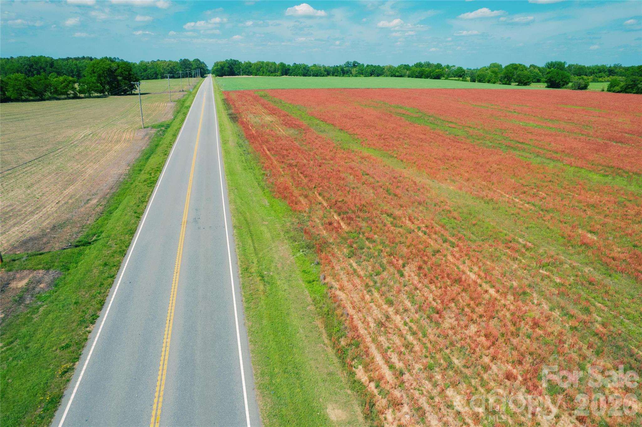 Lot at 0 Rogers Lane, Bennettsville, photo 3 of 8