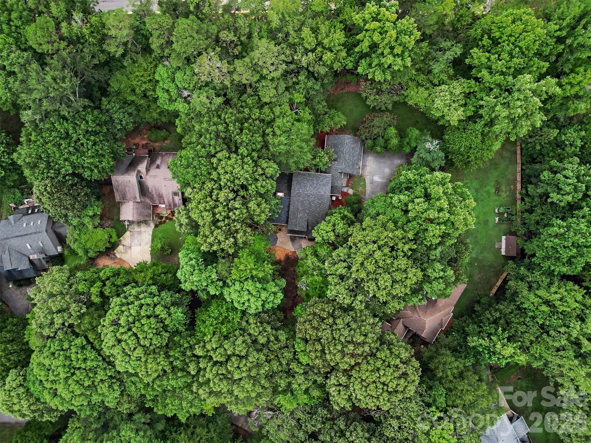 You'll love strolling through your new neighborhood full of mature trees. - 5042 Marci Lane, Belmont