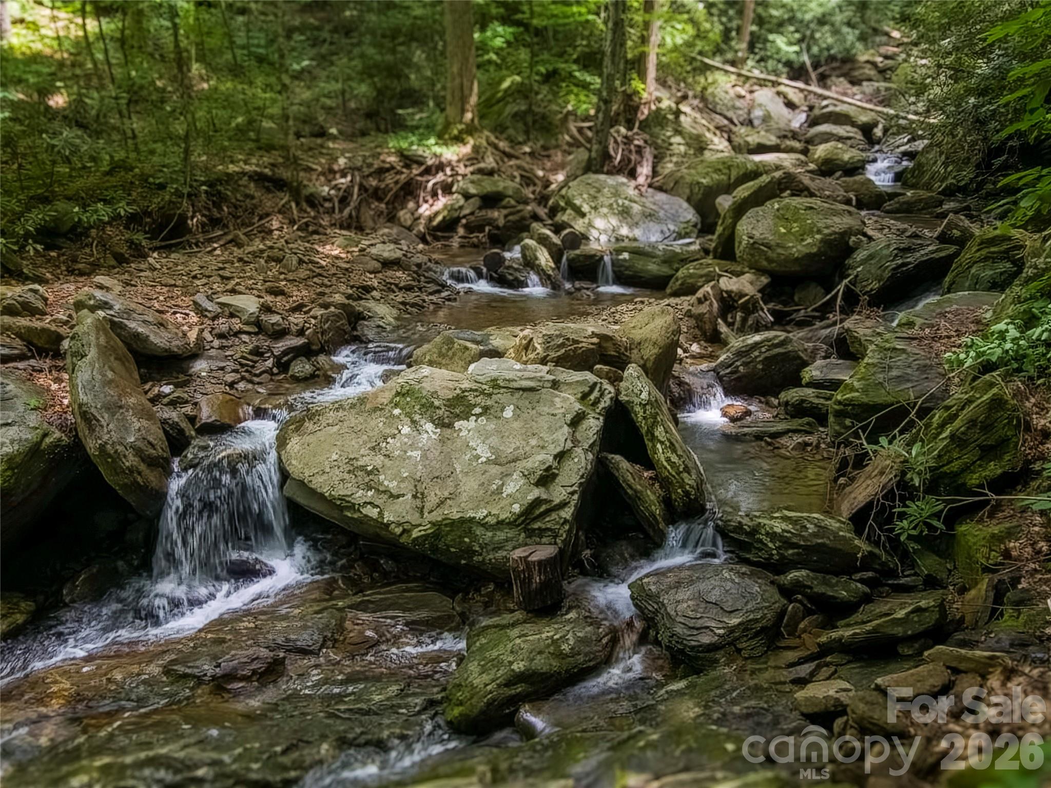 Rushing Creek - 500 Winter Star Road, Burnsville