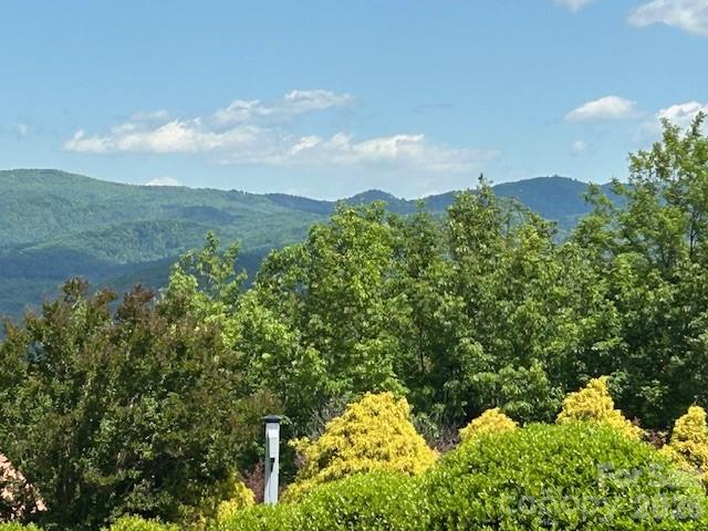 Lot at 0 Azule Ridge, Bostic, photo 6 of 18