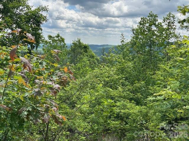 Lot at 0 Azule Ridge, Bostic, photo 9 of 18