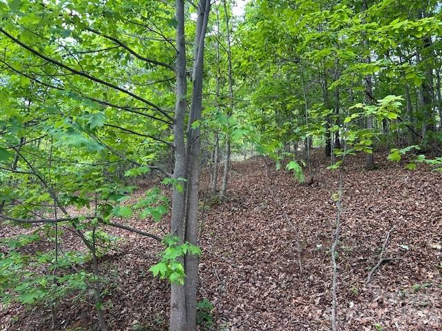 Lot at 0 Azule Ridge, Bostic, photo 10 of 18