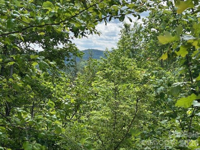 Lot at 0 Azule Ridge, Bostic, photo 11 of 18