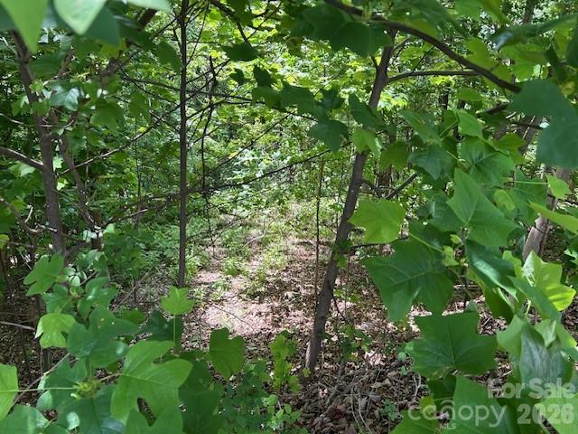 Lot at 0 Azule Ridge, Bostic, photo 15 of 18