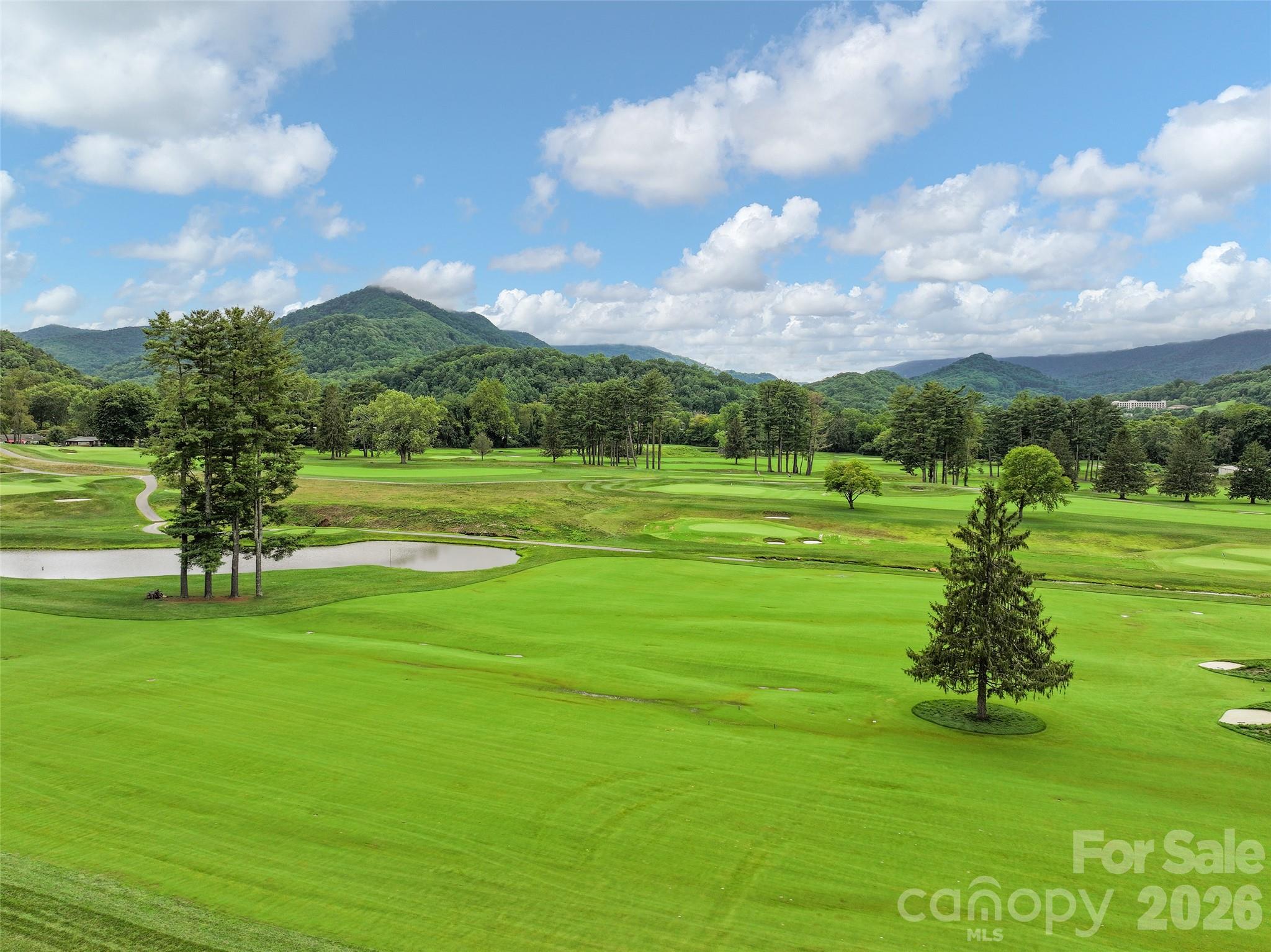 Lot at 110 Farmer Branch Lane, Waynesville, photo 14 of 15