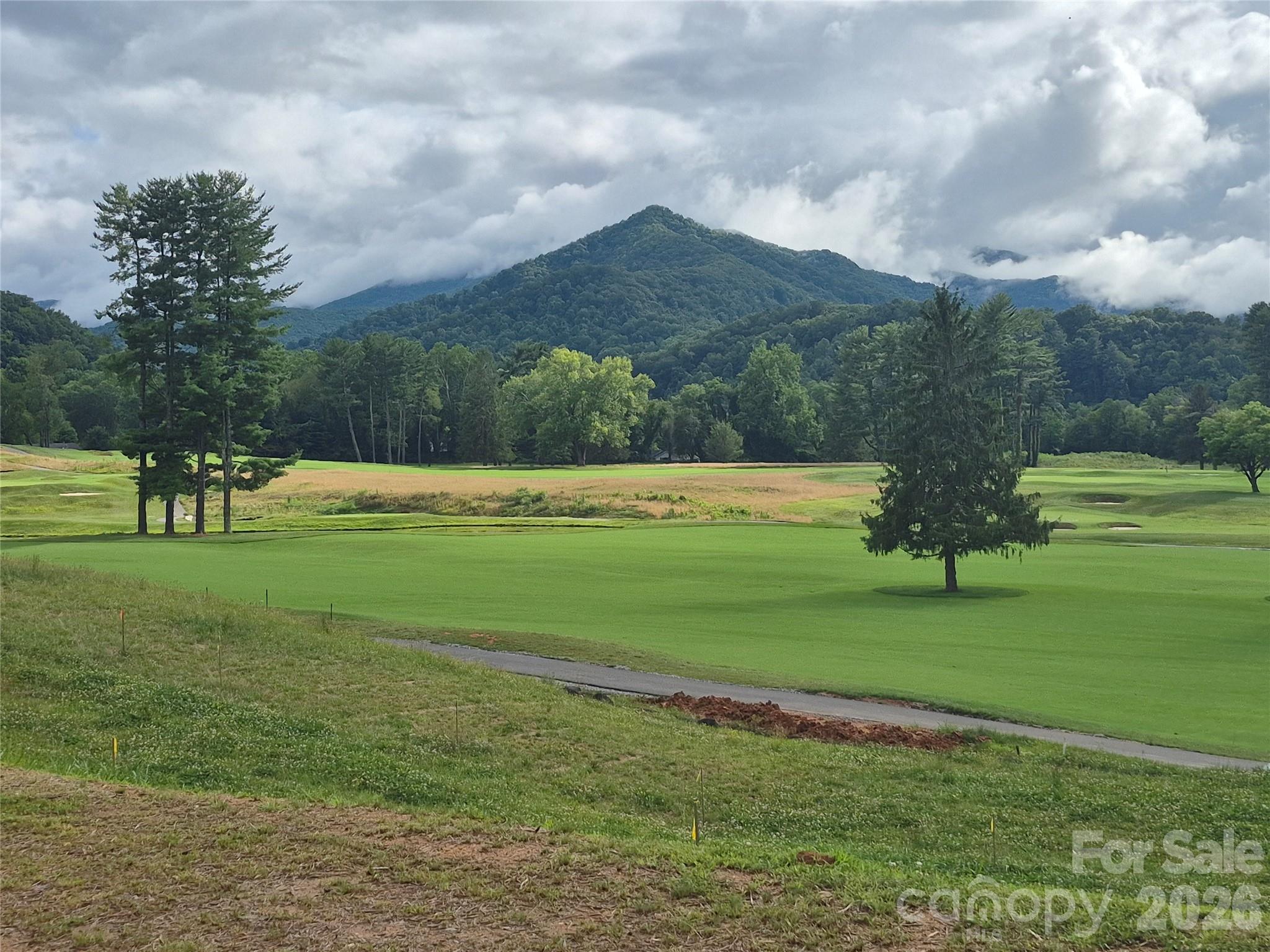 The Views never end! - 30 Farmer Branch Lane, Waynesville
