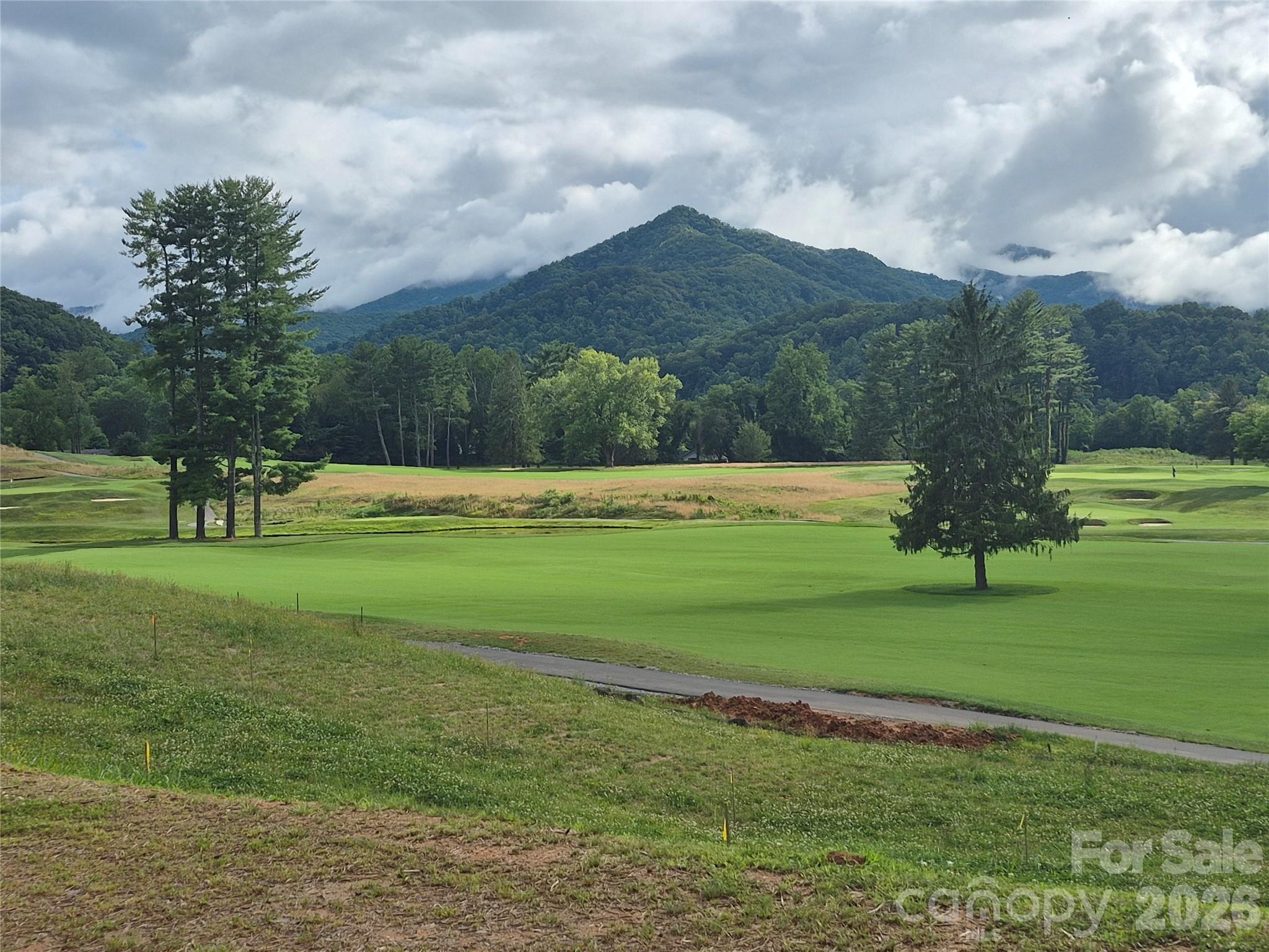 Build your Dream Home Here! - 30 Farmer Branch Lane, Waynesville