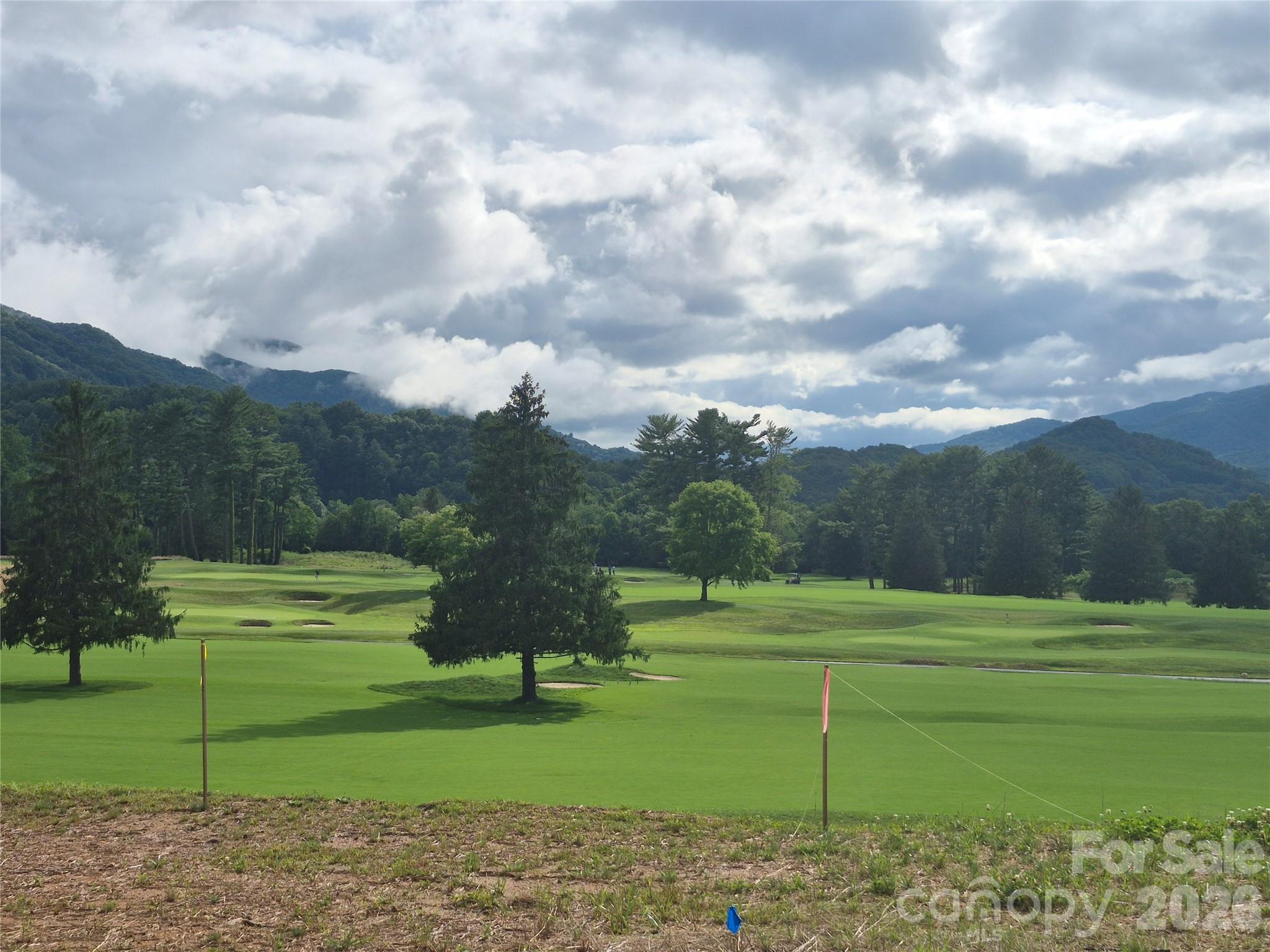 Summer View - 30 Farmer Branch Lane, Waynesville