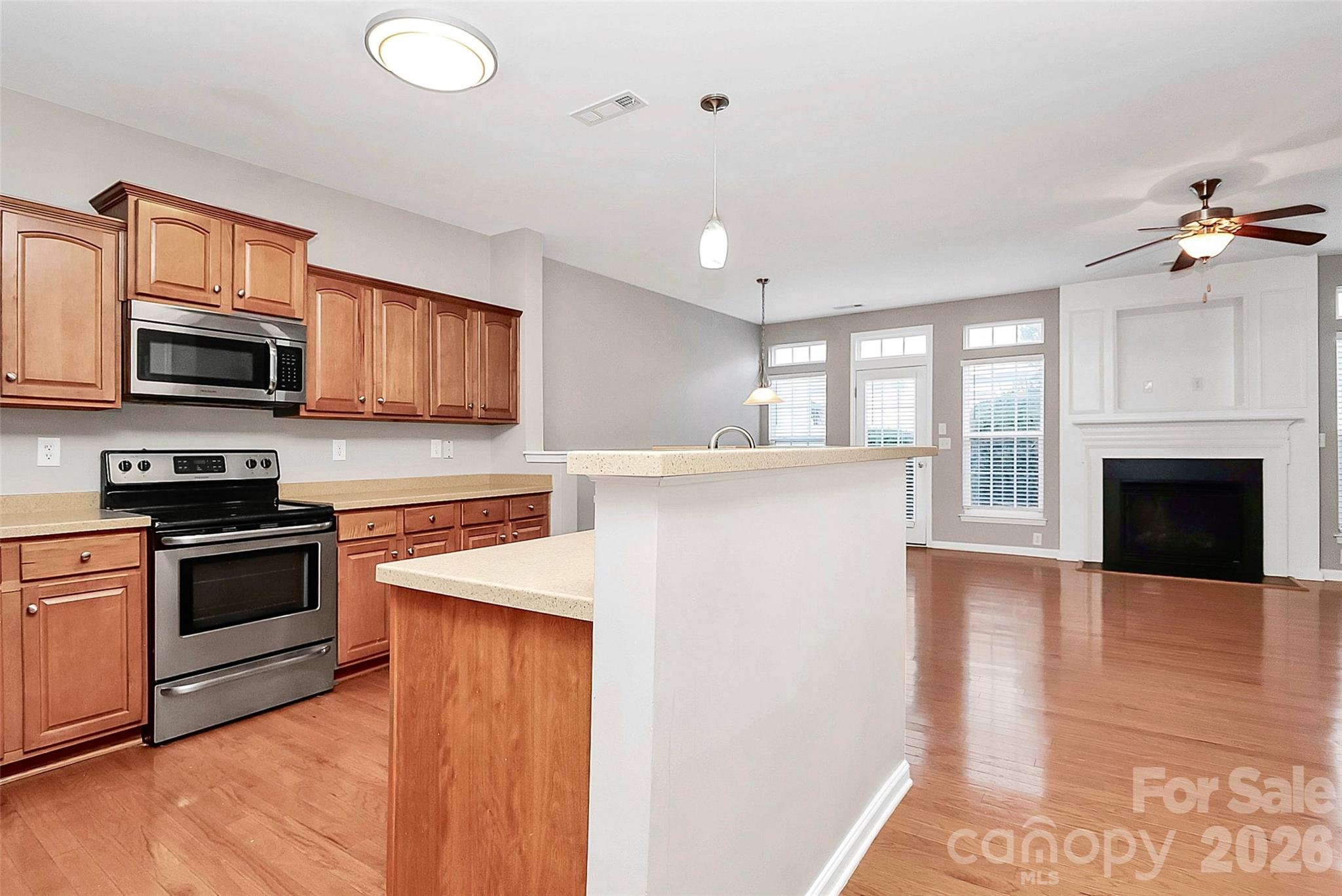 Townhouse at 16874 Hugh Torance Parkway, Huntersville, photo 3 of 34