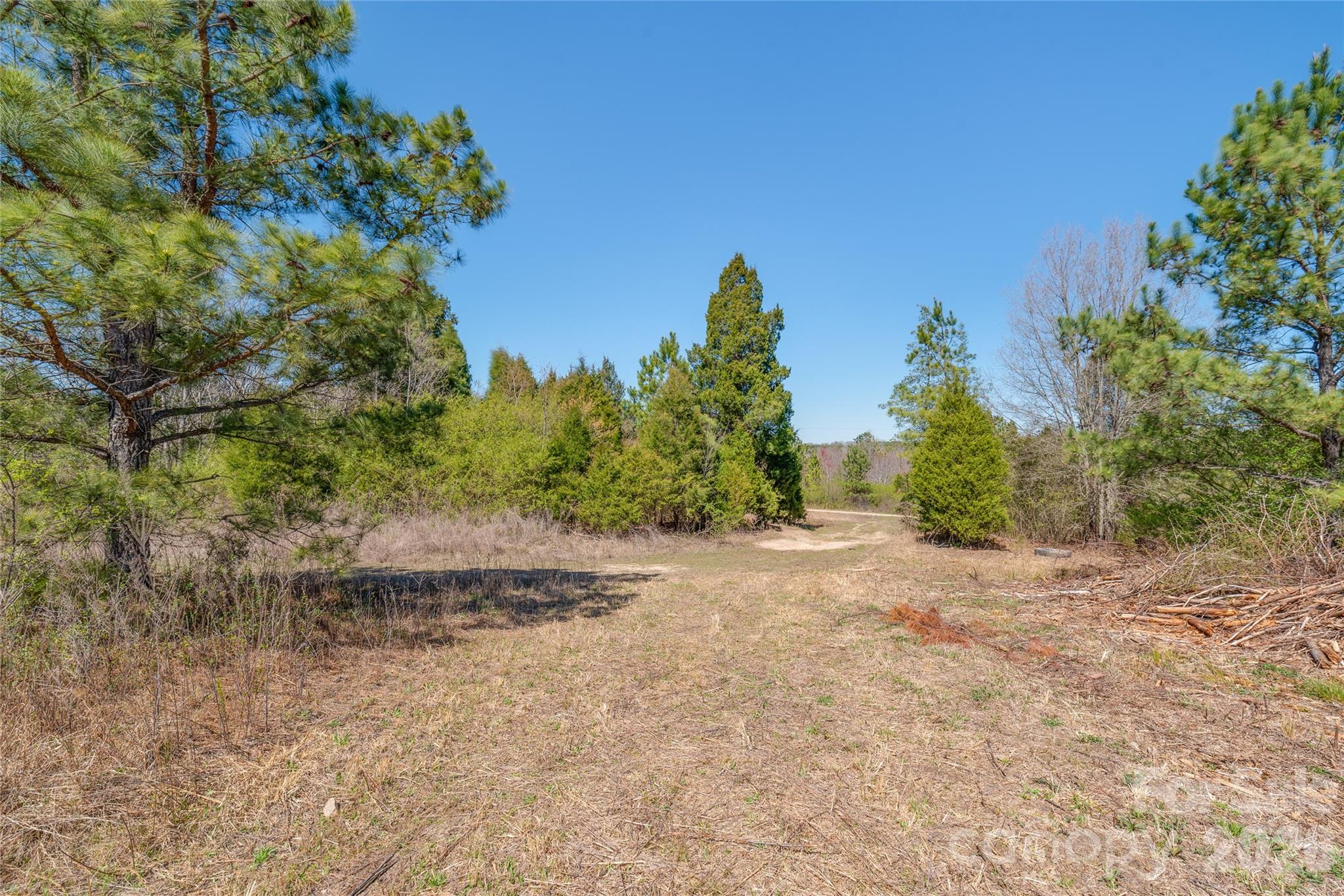 Cleared trail through Lot 2. - Lot 2 Baxter Drive, Statesville