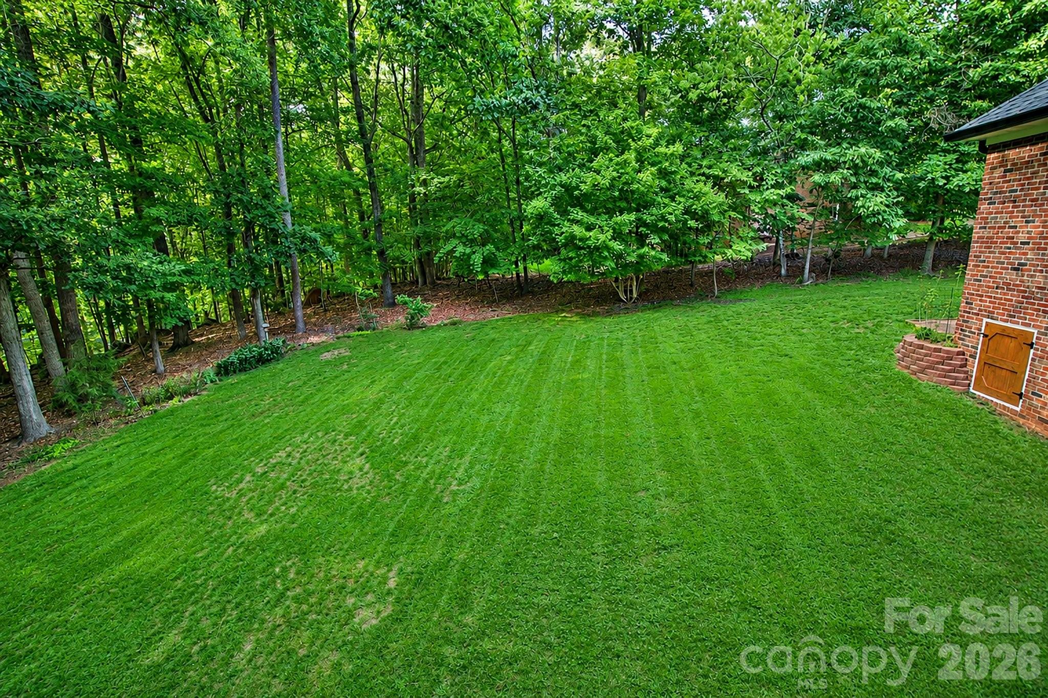 Backyard - 265 Westminster Court, Asheboro