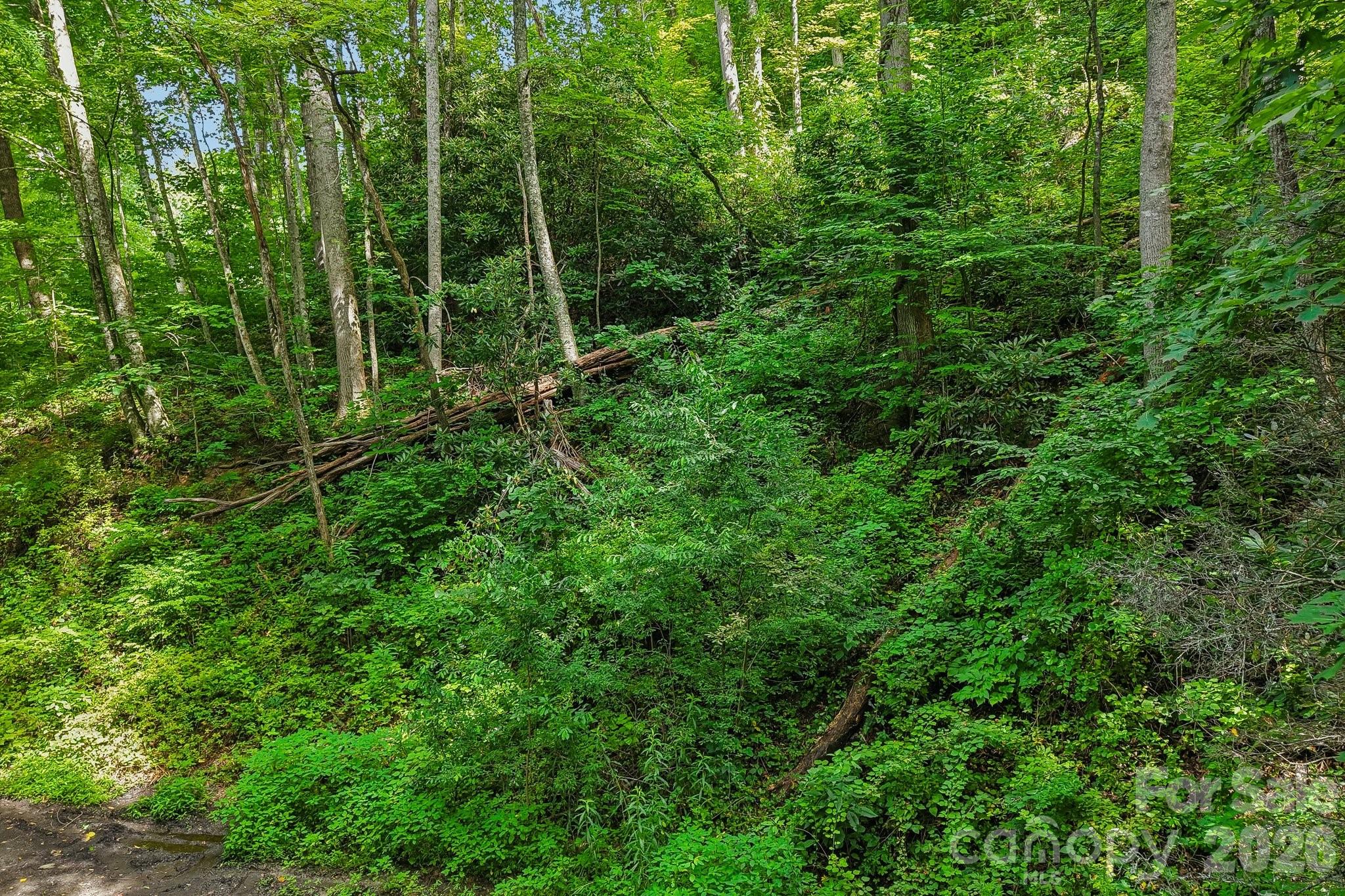 Lot at TBD Indian Falls Road, Asheville, photo 2 of 8