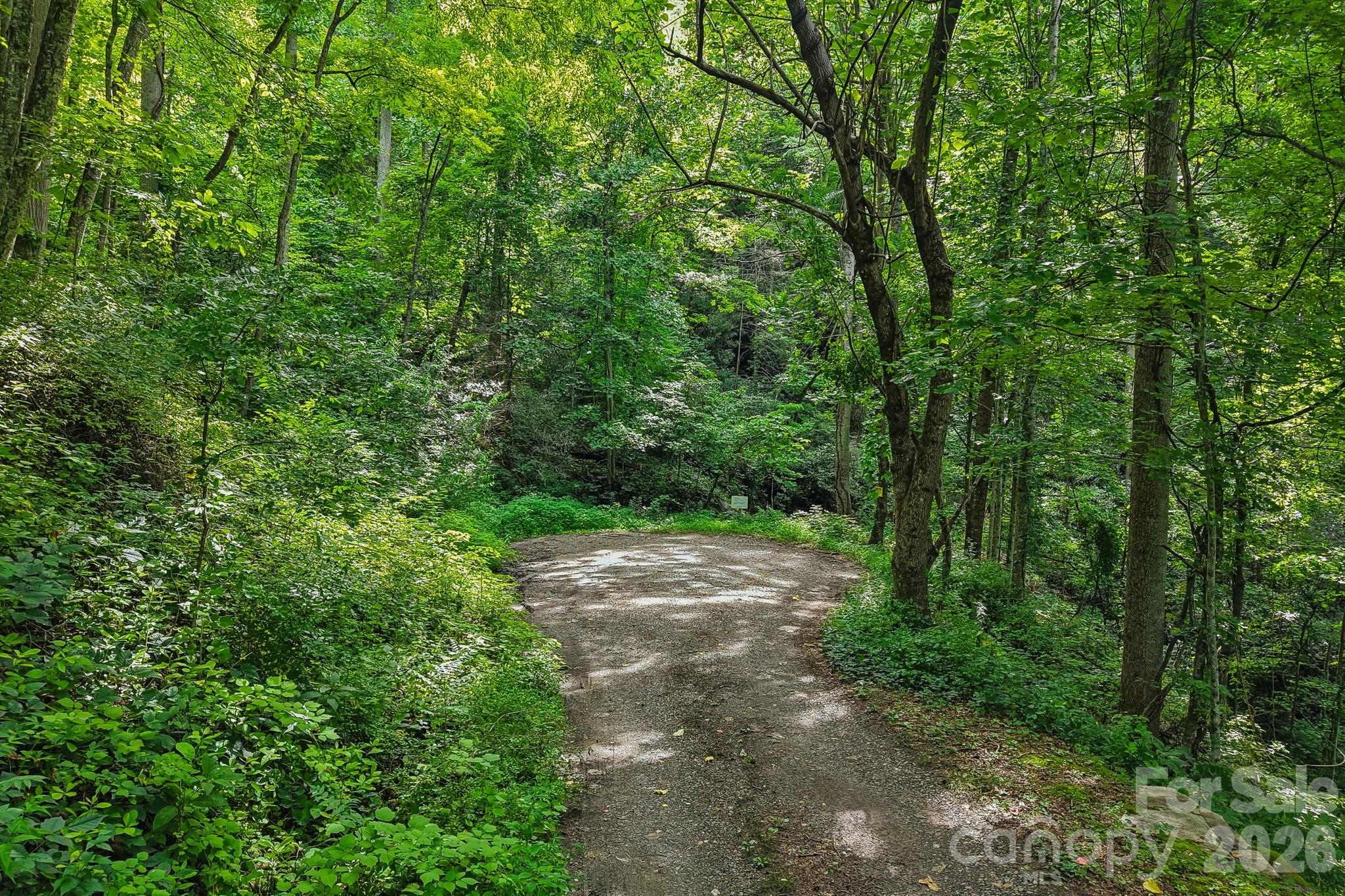 Lot at TBD Indian Falls Road, Asheville, photo 3 of 8