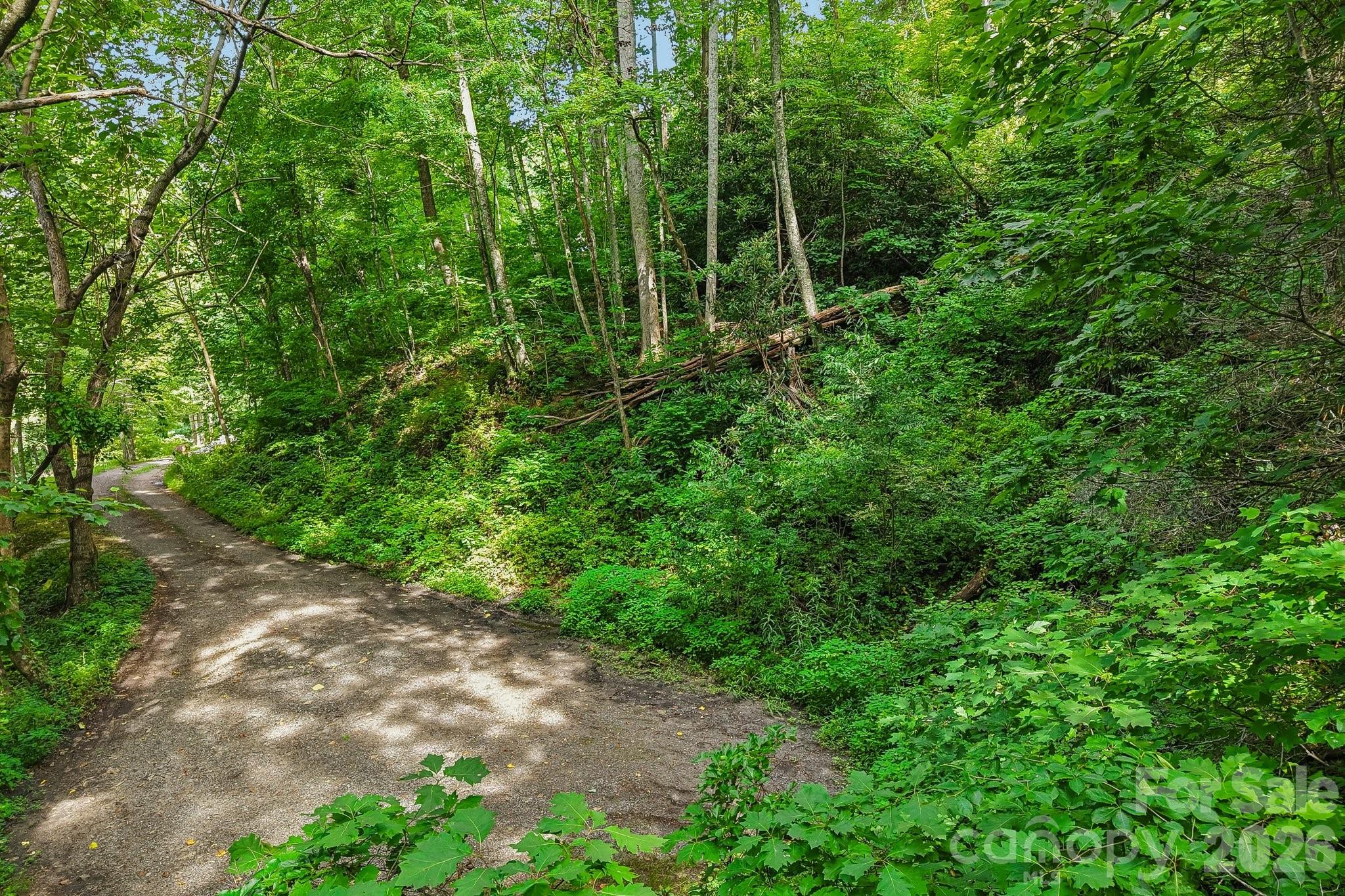Lot at TBD Indian Falls Road, Asheville, photo 4 of 8