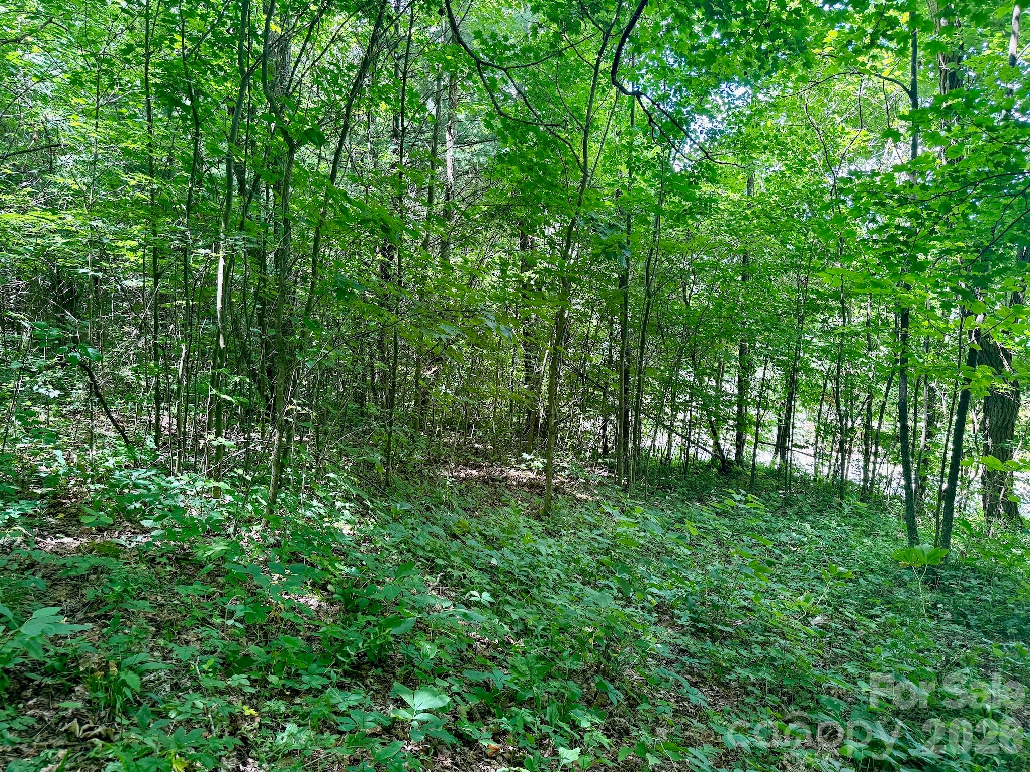 Lot at 35 Flying Hawk Way, Clyde, photo 11 of 22
