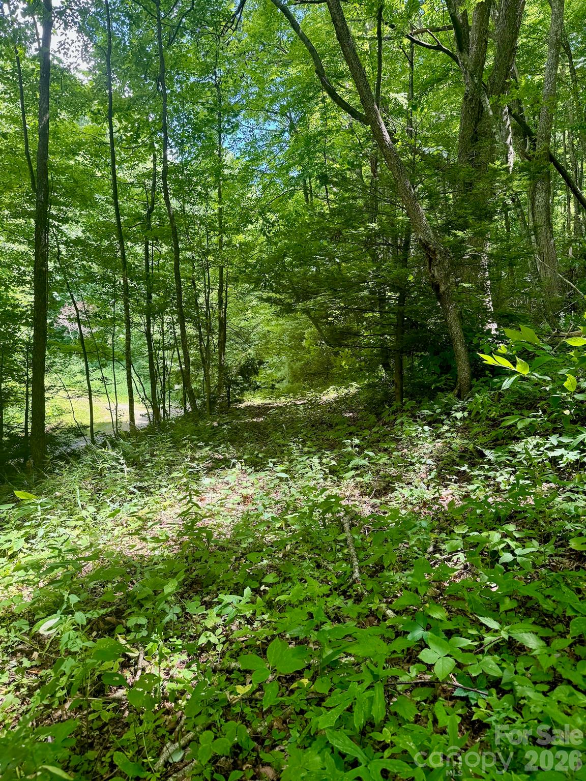 Lot at 35 Flying Hawk Way, Clyde, photo 13 of 22