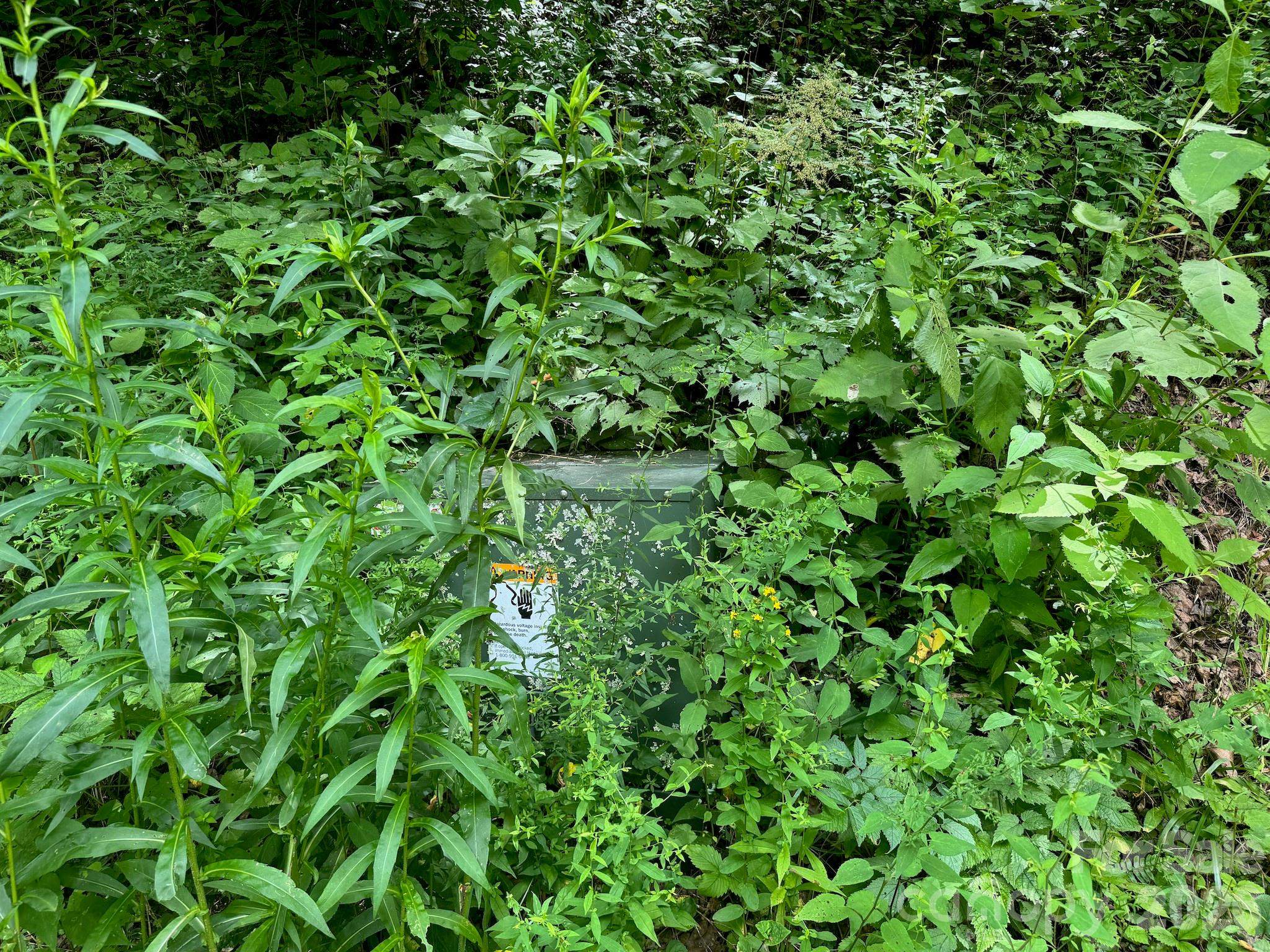 Lot at 35 Flying Hawk Way, Clyde, photo 15 of 22