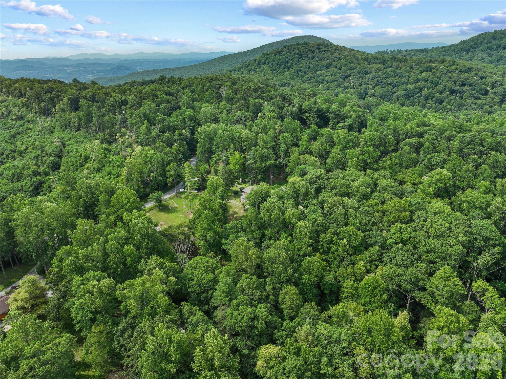 Bearwallow Mtn & beyond - 3151 N Bearwallow Road, Hendersonville