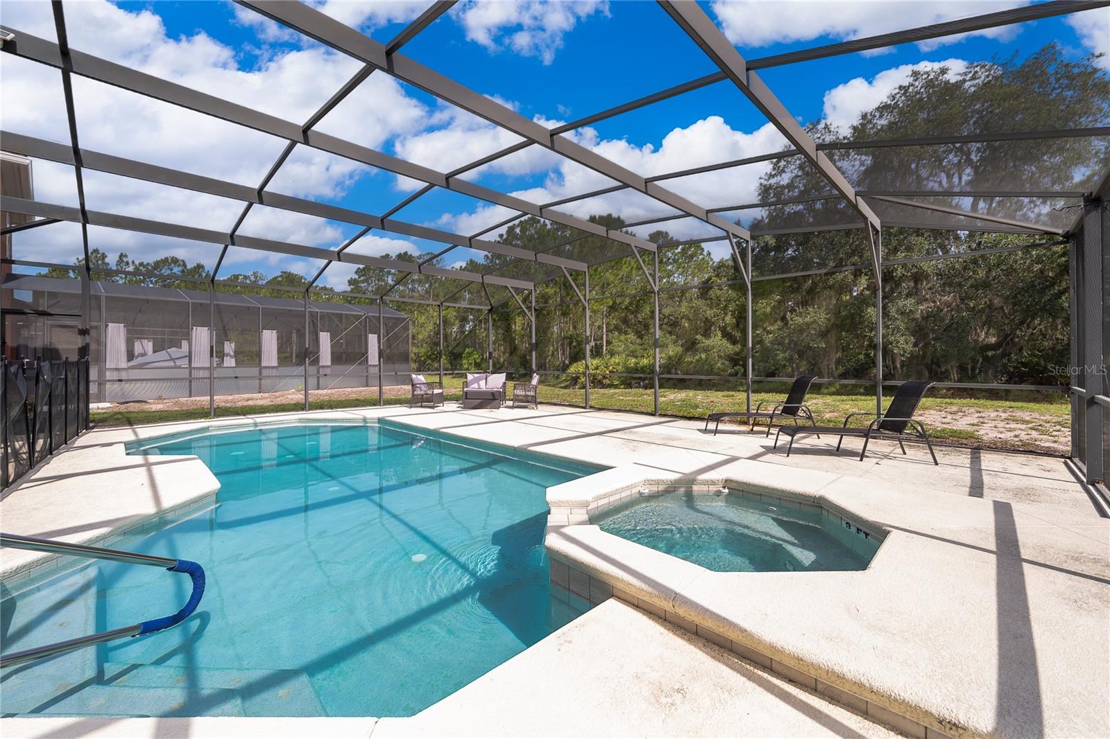 Pool 3 - 406 ORANGE COSMOS BLVD, DAVENPORT