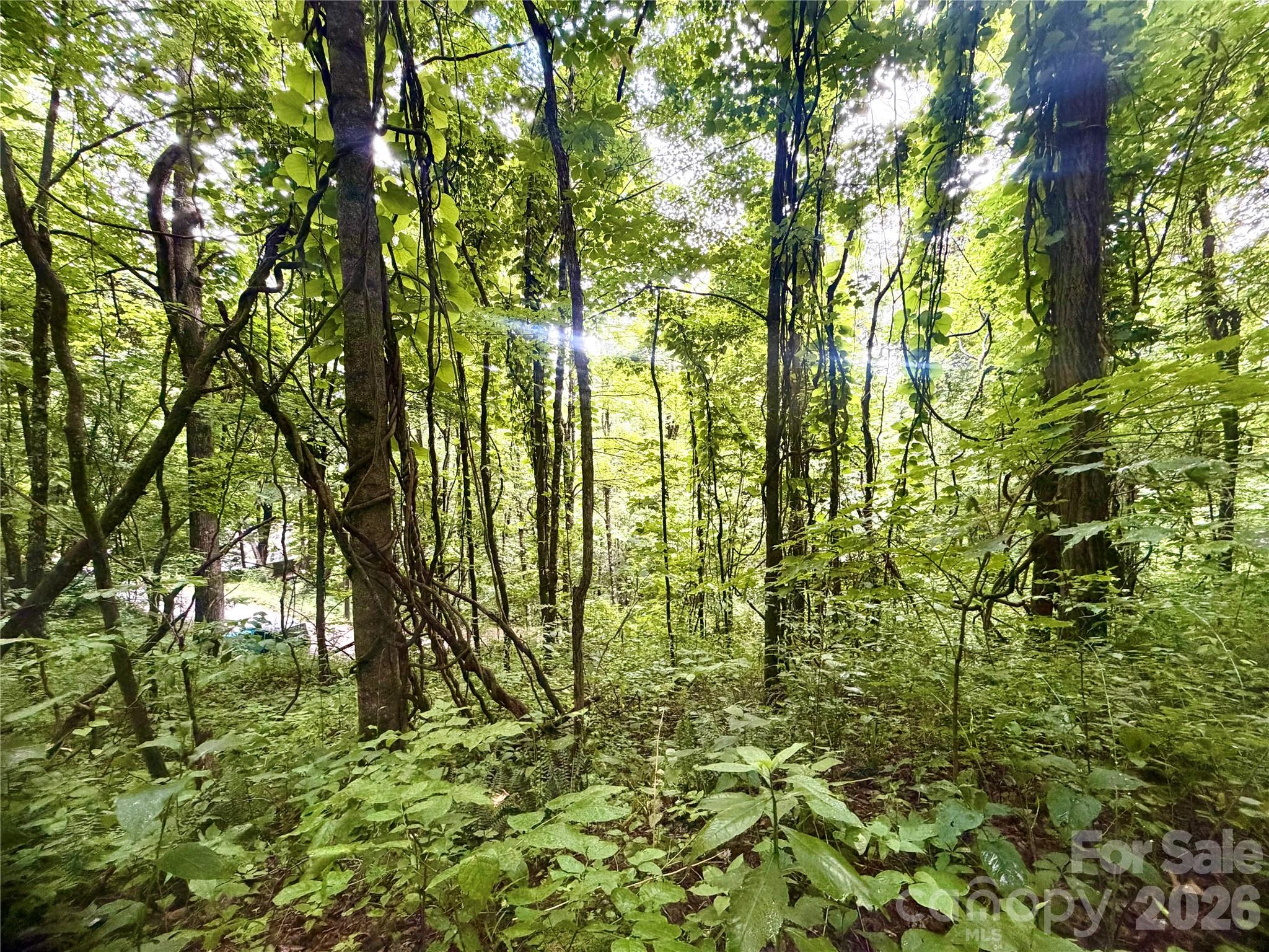 Lot at 505 Mountainside Drive, Waynesville, photo 12 of 20