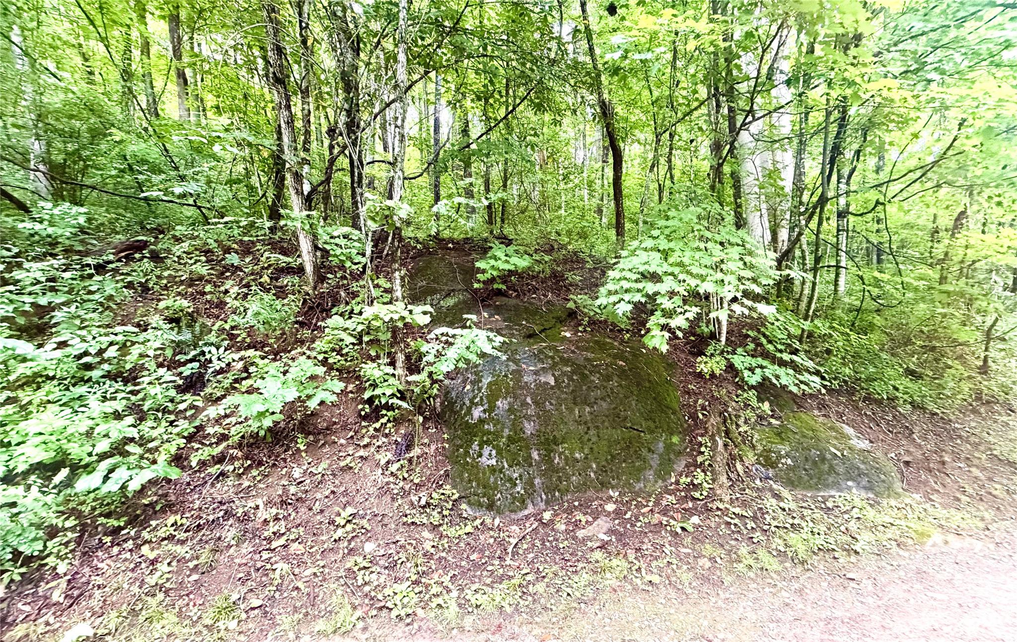 Lot at 505 Mountainside Drive, Waynesville, photo 9 of 20