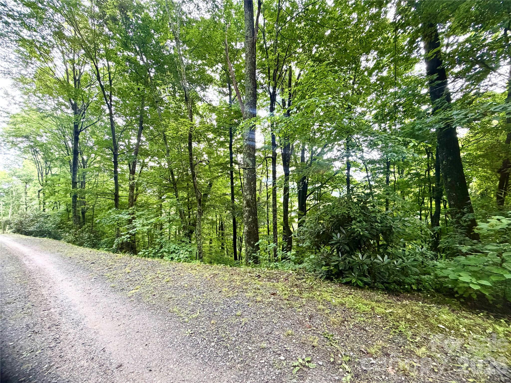 Lot at 505 Mountainside Drive, Waynesville, photo 7 of 20