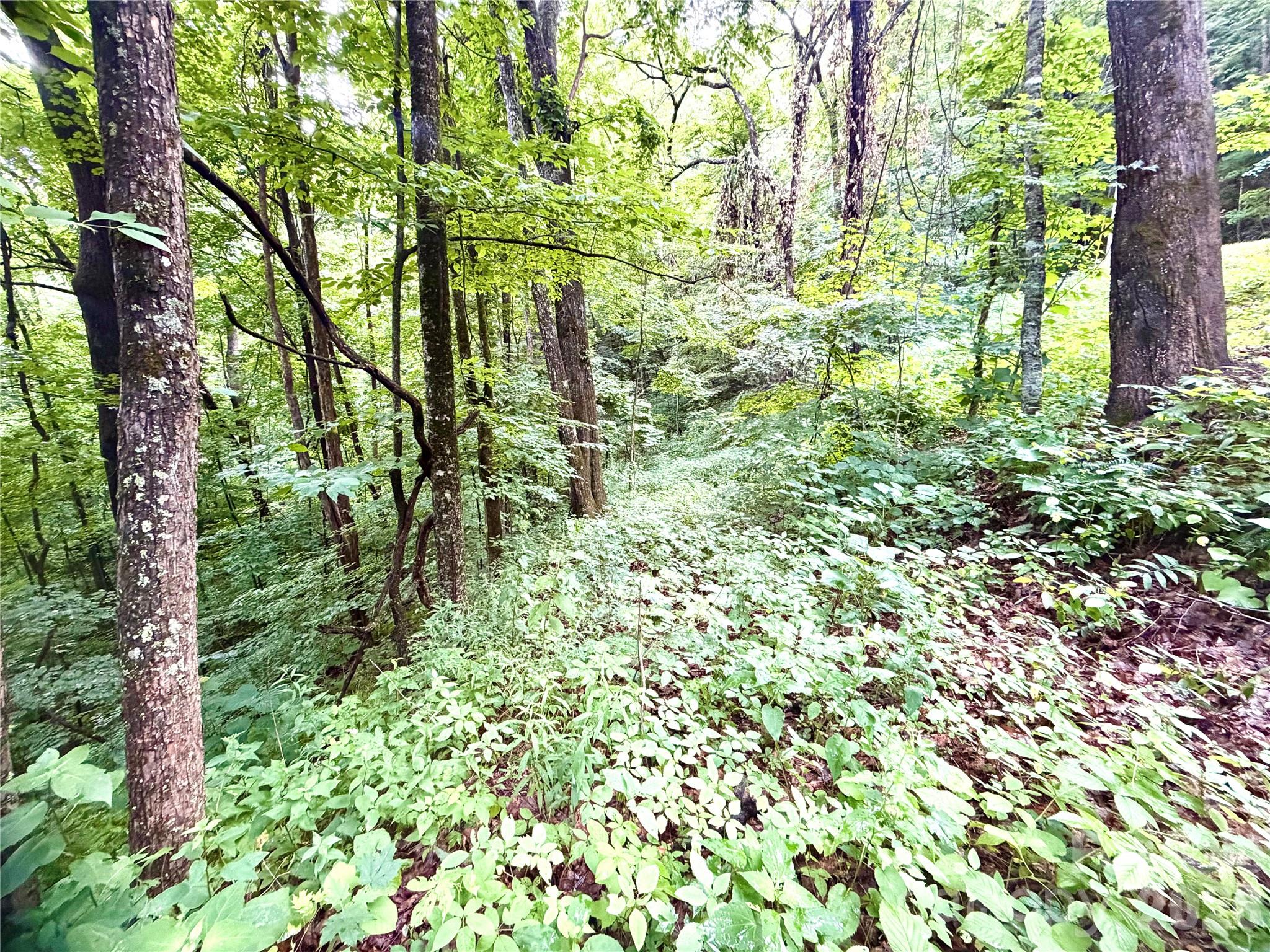 Lot at 505 Mountainside Drive, Waynesville, photo 11 of 20