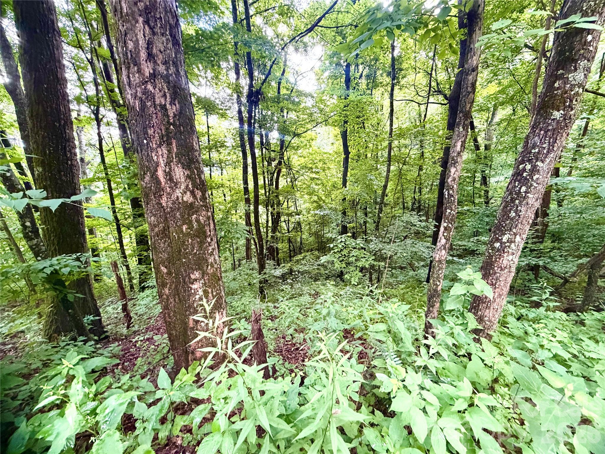 Lot at 505 Mountainside Drive, Waynesville, photo 13 of 20