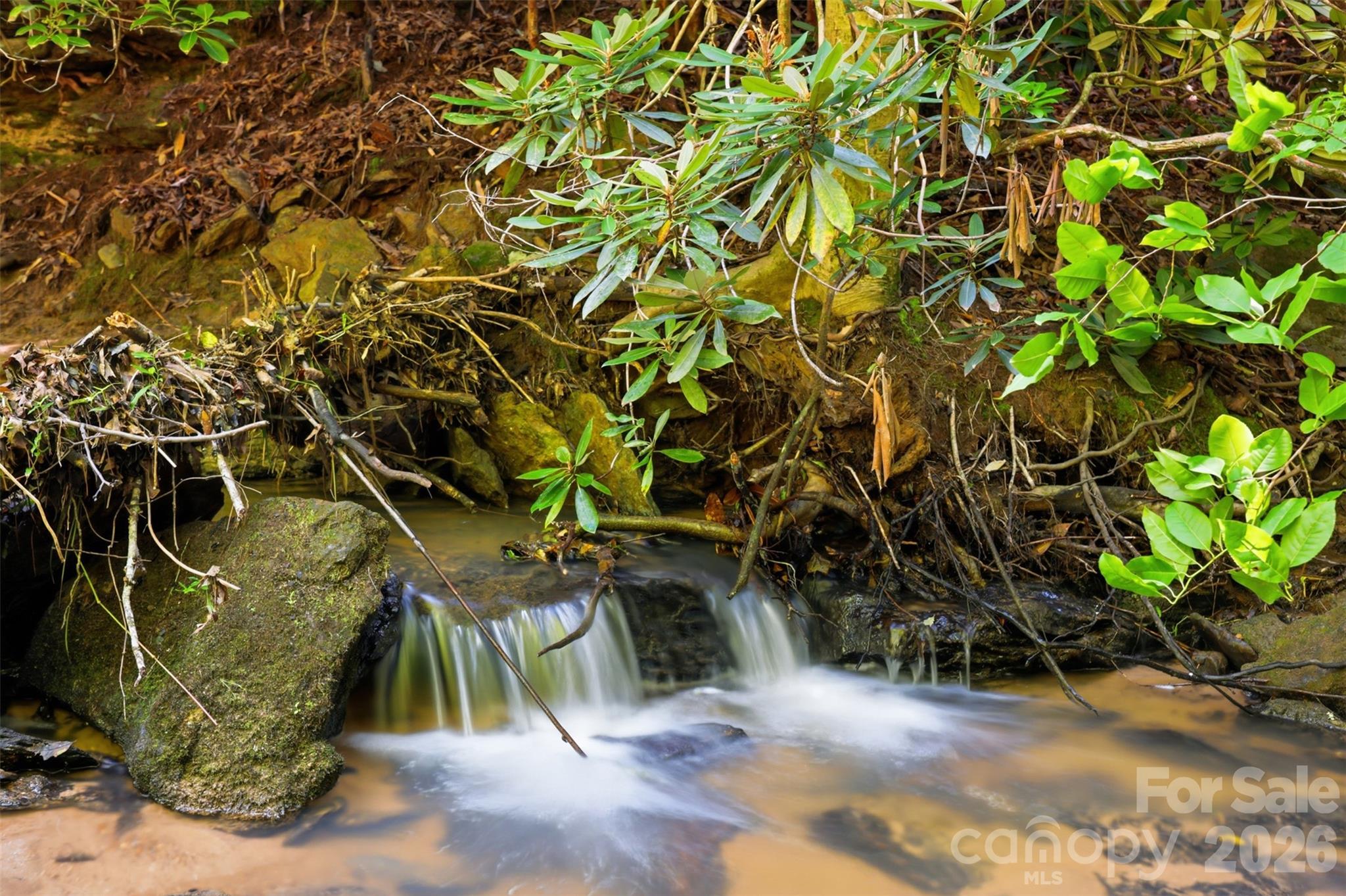 BEAUTIFUL CREEK - 250 Millennium Drive, Taylorsville