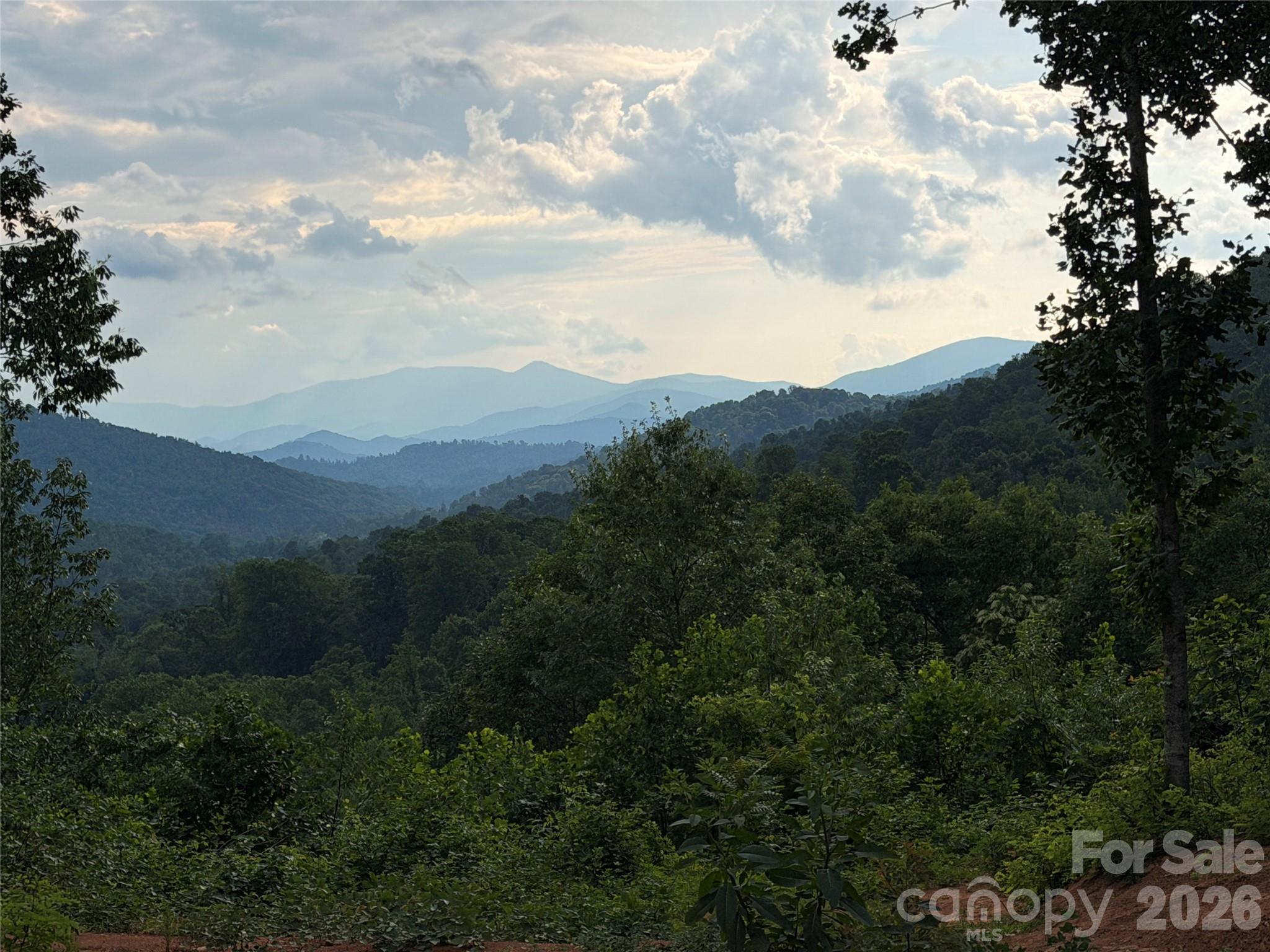 Acreage at 99999 Tipton Lane, Bakersville, photo 2 of 29